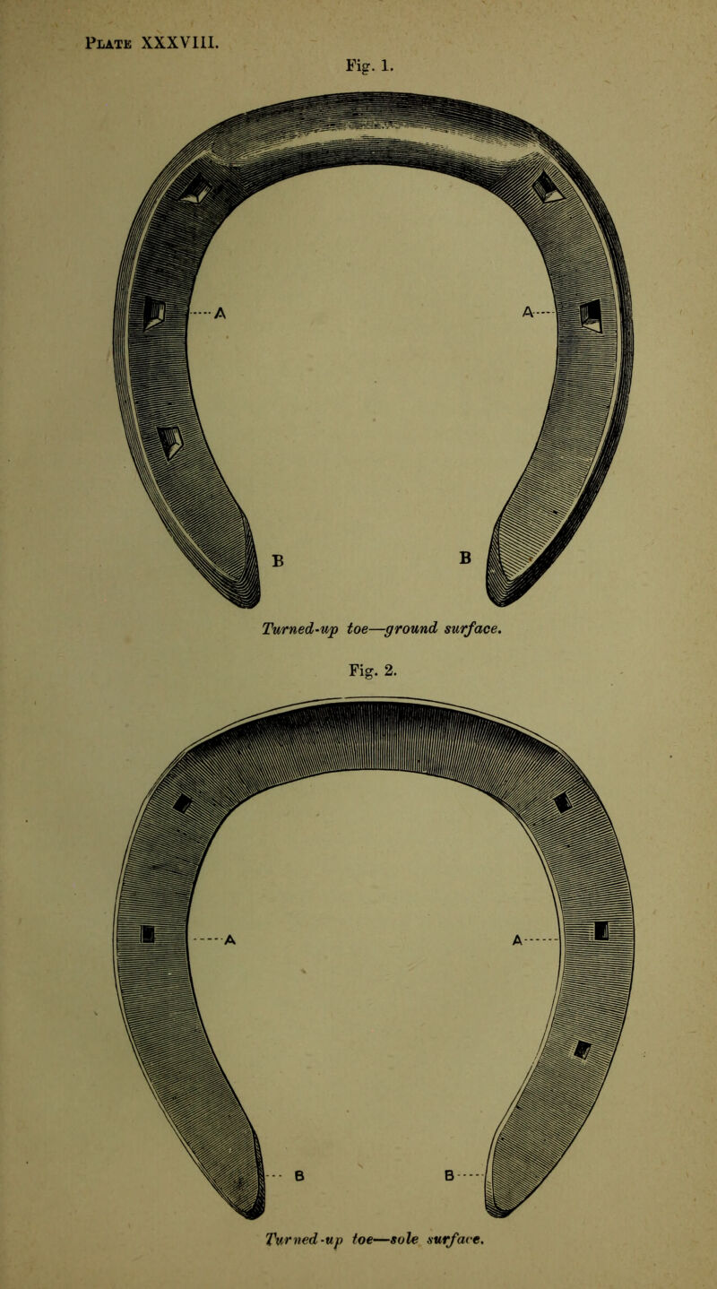 Plate XXXVIII. Fig. 1. Turned-up toe—sole surface.