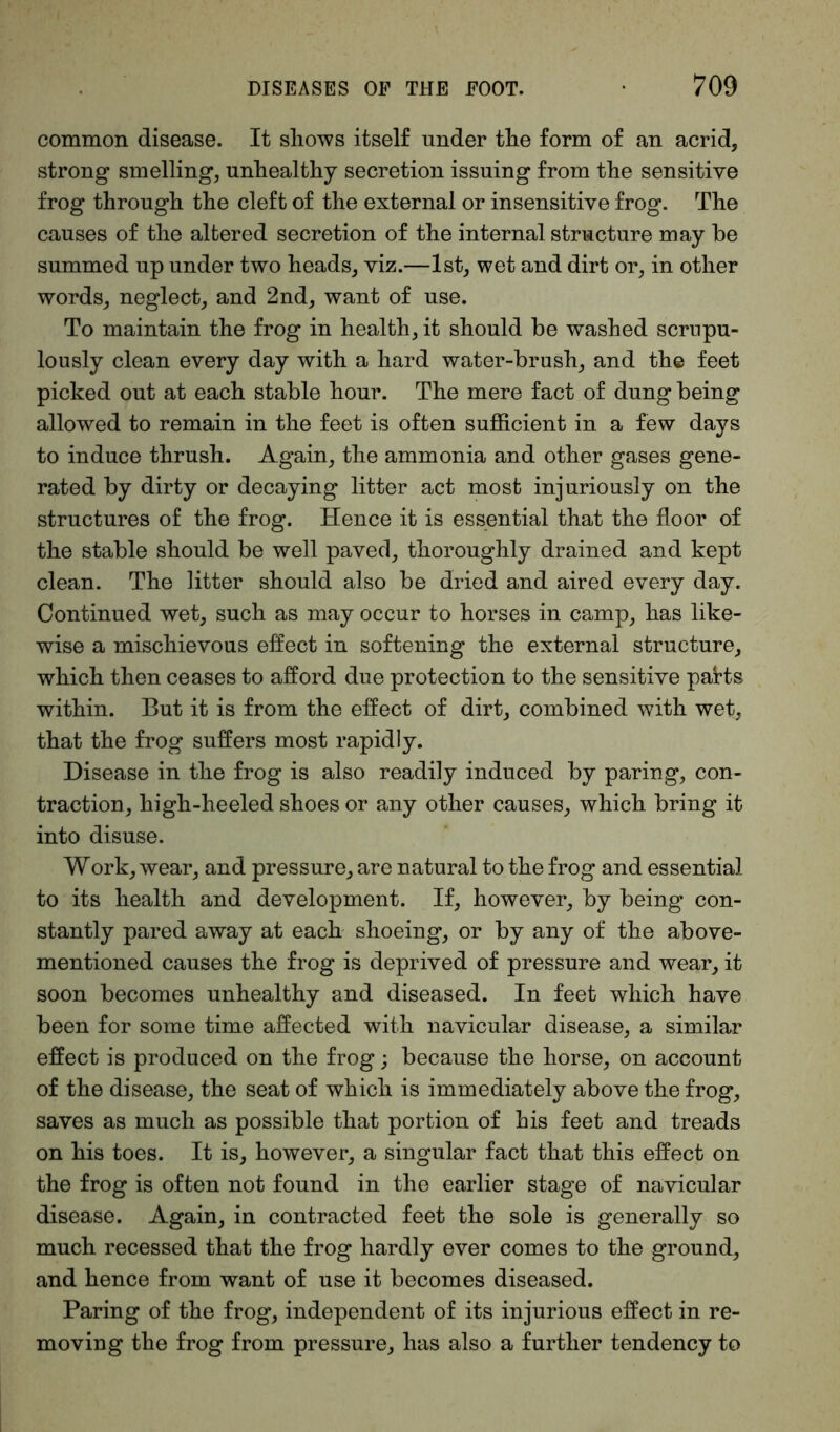 common disease. It shows itself under the form of an acrid, strong smelling, unhealthy secretion issuing from the sensitive frog through the cleft of the external or insensitive frog. The causes of the altered secretion of the internal structure may he summed up under two heads, viz.—1st, wet and dirt or, in other words, neglect, and 2nd, want of use. To maintain the frog in health, it should be washed scrupu- lously clean every day with a hard water-brush, and the feet picked out at each stable hour. The mere fact of dung being allowed to remain in the feet is often sufficient in a few days to induce thrush. Again, the ammonia and other gases gene- rated by dirty or decaying litter act most injuriously on the structures of the frog. Hence it is essential that the floor of the stable should be well paved, thoroughly drained and kept clean. The litter should also be dried and aired every day. Continued wet, such as may occur to horses in camp, has like- wise a mischievous effect in softening the external structure, which then ceases to afford due protection to the sensitive patts within. But it is from the effect of dirt, combined with wet, that the frog suffers most rapidly. Disease in the frog is also readily induced by paring, con- traction, high-heeled shoes or any other causes, which bring it into disuse. Work, wear, and pressure, are natural to the frog and essential to its health and development. If, however, by being con- stantly pared away at each shoeing, or by any of the above- mentioned causes the frog is deprived of pressure and wear, it soon becomes unhealthy and diseased. In feet which have been for some time affected with navicular disease, a similar effect is produced on the frog; because the horse, on account of the disease, the seat of which is immediately above the frog, saves as much as possible that portion of his feet and treads on his toes. It is, however, a singular fact that this effect on the frog is often not found in the earlier stage of navicular disease. Again, in contracted feet the sole is generally so much recessed that the frog hardly ever comes to the ground, and hence from want of use it becomes diseased. Paring of the frog, independent of its injurious effect in re- moving the frog from pressure, has also a further tendency to