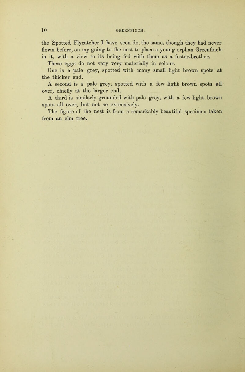 ]0 GREKNPINCH. the Spotted Flycatcher I have seen do. the same, though they had never flown before, on my going to the nest to place a young orphan Greenfinch in it, with a view to its being fed with them as a foster-brother. These eggs do not vary very materially in colour. One is a pale grey, spotted with many small light brown spots at the thicker end. A second is a pale grey, spotted with a few light brown spots all over, chiefly at the larger end. A third is similarly grounded with pale grey, with a few light brown spots all over, but not so extensively. The figure of the nest is from a remarkably beautiful specimen taken from an elm tree.