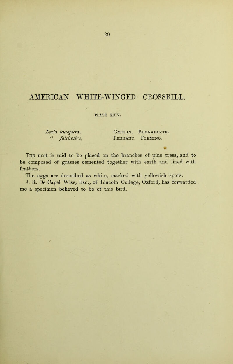 29 AMEEICAN WHITE-WINGED CEOSSBILL. PLATE XCIV. Loxia leucoptera, “ falcirostra, Gmelin. Buonaparte. Pennant. Fleming. The nest is said to be placed on the branches of pine trees, and to be composed of grasses cemented together with earth and lined with feathers. The eggs are described as white, marked with yellowish spots. J. R. De Capel Wise, Esq., of Lincoln College, Oxford, has forwarded me a specimen believed to be of this bird.