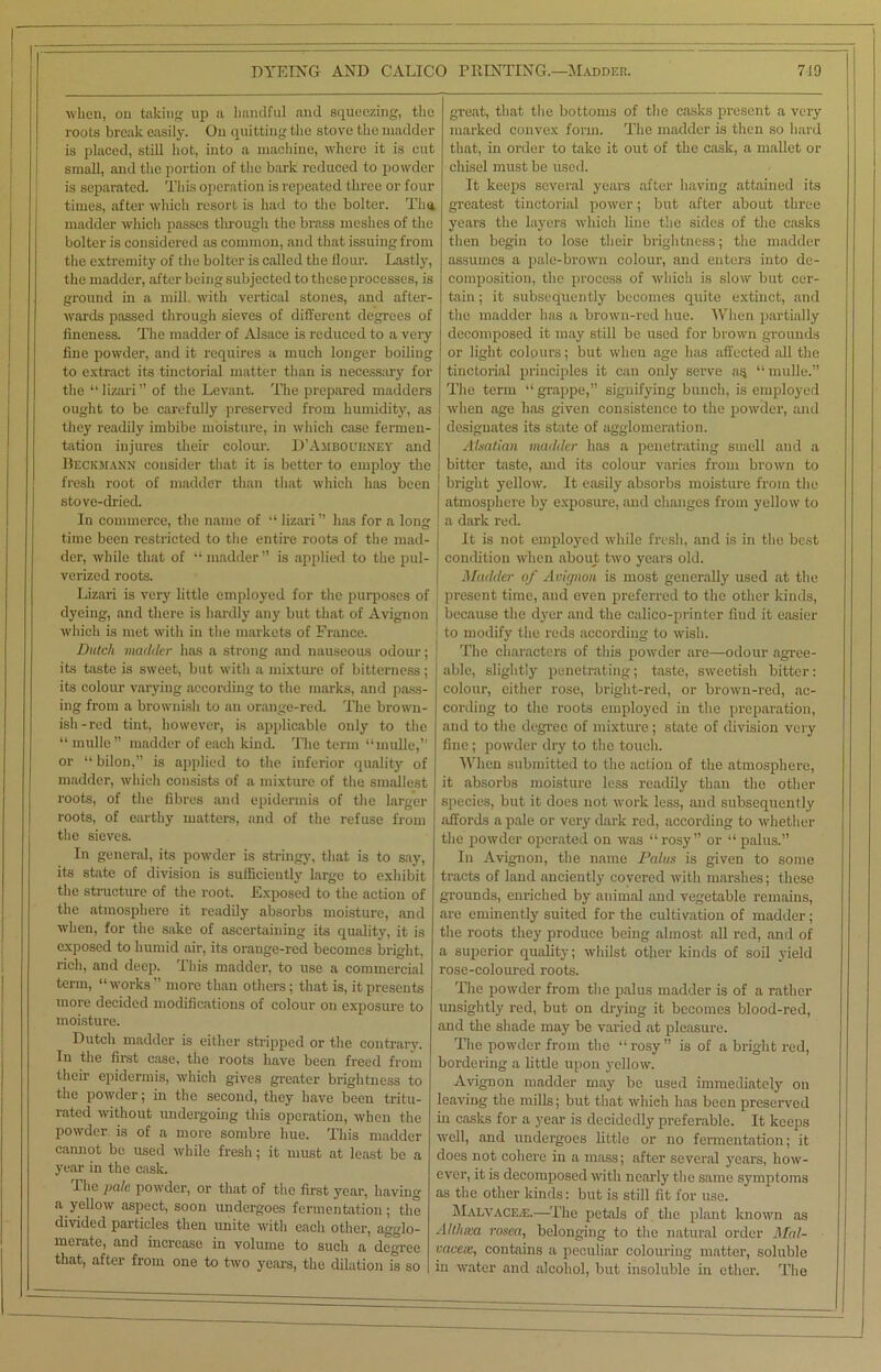 when, on taking up a handful and squeezing, the roots break easily. On quitting the stove the madder is placed, still hot, into a machine, where it is cut small, and the portion of the bark reduced to powder is separated. This operation is repeated three or four times, after which resort is had to the bolter. Tim madder which passes through the brass meshes of the bolter is considered as common, and that issuing from the extremity of the bolter is called the flour. Lastly, the madder, after being subjected to these processes, is ground in a mill, with vertical stones, and after- wards passed through sieves of different degrees of fineness. The madder of Alsace is reduced to a very fine powder, and it requires a much longer boiling to extract its tinctorial matter than is necessary for the “ lizari ” of the Levant. The prepared madders ought to be carefully preserved from humidity, as they readily imbibe moisture, in which case fermen- tation injures their colour. D’Ambournev and Beckmann consider that it is better to employ the fresh root of madder than that which has been stove-dried. In commerce, the name of “ lizari ’’ has for a long time been restricted to the entire roots of the mad- der, while that of “madder” is applied to the pul- verized roots. Lizari is very little employed for the purposes of dyeing, and there is hardly any but that of Avignon which is met with in the markets of France. Dutch madder has a strong and nauseous odour; its taste is sweet, but with a mixture of bitterness; its colour varying according to the marks, and pass- ing from a brownish to an orange-red. The brown- ish-red tint, however, is applicable only to the “ mulle” madder of each kind. The term “mulle,” or “ bilon,” is applied to the inferior quality of madder, which consists of a mixture of the smallest roots, of the fibres and epidermis of the larger roots, of earthy matters, and of the refuse from the sieves. In general, its powder is stringy, that is to say, its state of division is sufficiently large to exhibit the structure of the root. Exposed to the action of the atmosphere it readily absorbs moisture, and when, for the sake of ascertaining its quality, it is exposed to humid air, its orange-red becomes bright, rich, and deep. This madder, to use a commercial term, “works ” more than others; that is, it presents more decided modifications of colour on exposure to moisture. Dutch madder is either stripped or the contrary. In the first case, the roots have been freed from their epidermis, which gives greater brightness to the powder; in the second, they have been tritu- rated without undergoing this operation, when the powder is of a more sombre hue. This madder cannot be used while fresh; it must at least be a year in the cask. The pale powder, or that of the first year, having a yellow aspect, soon undergoes fermentation; the divided particles then unite with each other, agglo- merate, and increase in volume to such a degree that, after from one to two years, the dilation is so great, that the bottoms of the casks present a very marked convex form. The madder is then so hard that, in order to take it out of the cask, a mallet or chisel must be used. It keeps several years after having attained its greatest tinctorial power; but after about three years the layers which line the sides of the casks then begin to lose their brightness; the madder assumes a pale-brown colour, and enters into de- composition, the process of which is slow but cer- tain ; it subsequently becomes quite extinct, and the madder has a brown-red hue. When partially decomposed it may still be used for brown grounds or light colours; but when age has affected all the tinctorial principles it can only serve as “ mulle.” The term “ grappe,” signifying bunch, is employed when age has given consistence to the powder, and designates its state of agglomeration. Alsatian madder has a penetrating smell and a bitter taste, and its colour varies from brown to bright yellow. It easily absorbs moisture from the atmosphere by exposure, and changes from yellow to a dark red. It is not employed while fresh, and is in the best condition when about two years old. Madder of Avignon is most generally used at the present time, and even preferred to the other kinds, because the dyer and the calico-printer find it easier j to modify the reds according to wish. The characters of this powder are—odour agree- able, slightly penetrating; taste, sweetish bitter: colour, either rose, bright-red, or brown-red, ac- cording to the roots employed in the preparation, and to the degree of mixture; state of division very fine ; powder dry to the touch. When submitted to the action of the atmosphere, it absorbs moisture less readily than the other species, but it does not work less, and subsequently affords a pale or very dark red, according to whether the powder operated on was “ rosy” or “ palus.” In Avignon, the name Palus is given to some tracts of land anciently covered with marshes; these grounds, enriched by animal and vegetable remains, are eminently suited for the cultivation of madder; the roots they produce being almost all red, and of a superior quality; whilst other kinds of soil yield rose-coloured roots. The powder from the palus madder is of a rather unsightly red, but on drying it becomes blood-red, and the shade may be varied at pleasure. The powder from the “rosy” is of a bright red, bordering a little upon yellow. Avignon madder may be used immediately on leaving the mills; but that which has been preserved in casks for a year is decidedly preferable. It keeps well, and undergoes little or no fermentation; it does not cohere in a mass; after several years, how- ever, it is decomposed with nearly the same symptoms as the other kinds: but is still fit for use. MalvacE/I:.—The petals of the plant known as Altluea rosea, belonging to the natural order Mal- vacex, contains a peculiar colouring matter, soluble in water and alcohol, but insoluble in ether. The