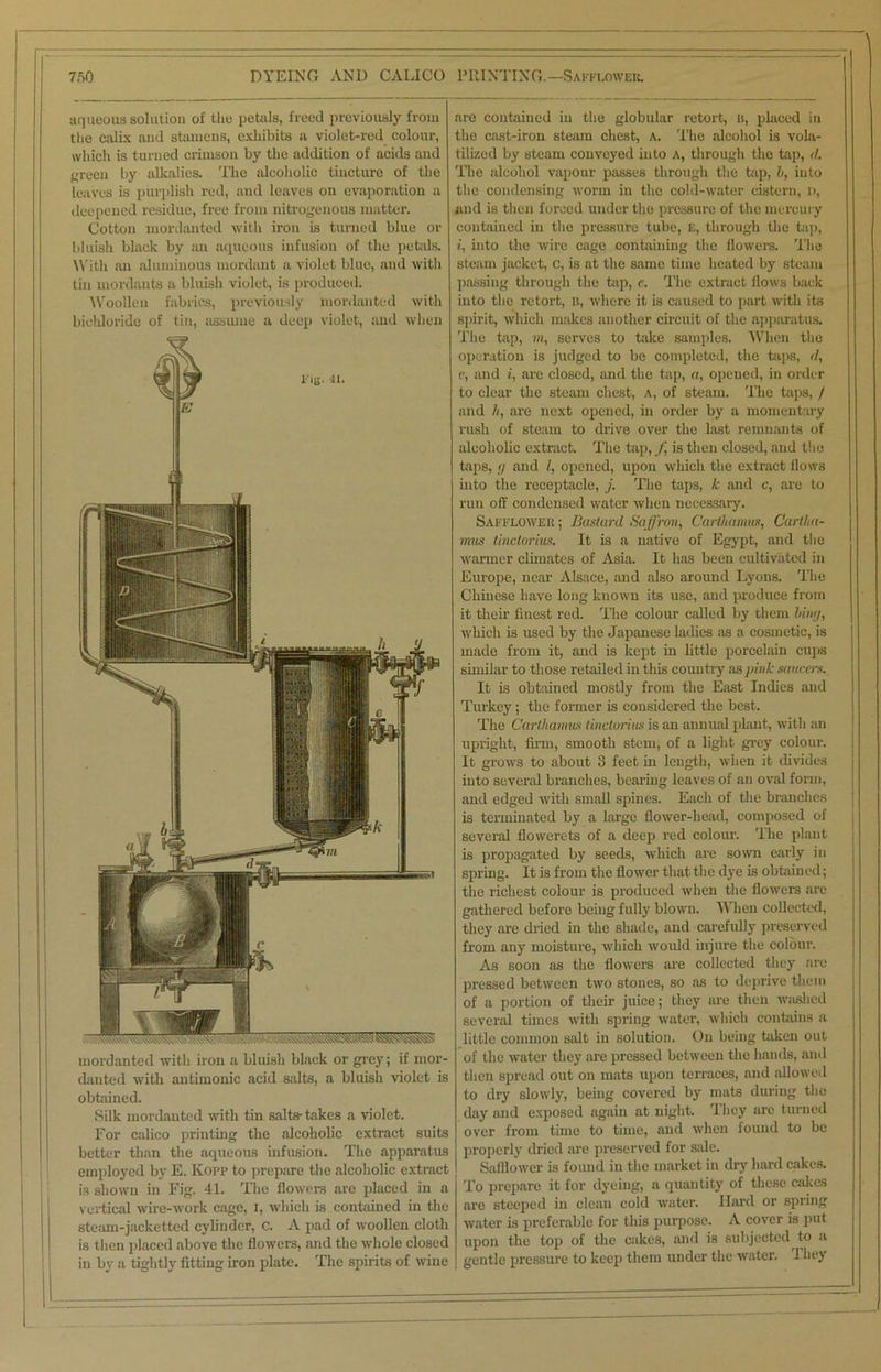 aqueous solution of the petals, freed previously from the calix and stamens, exhibits a violet-red colour, which is turned crimson by the addition of acids and green by alkalies. The alcoholic tincture of the leaves is purplish red, and leaves on evaporation a deepened residue, free from nitrogenous matter. Cotton mordanted with iron is turned blue or bluish black by an aqueous infusion of the petals. With an aluminous mordant a violet blue, and with tin mordants a bluish violet, is produced. Woollen fabrics, previously mordanted with bichloride of tin, assume a deep violet, and when mordanted with iron a bluish black or grey; if mor- danted with antimonie acid salts, a bluish violet is obtained. Silk mordanted with tin salts- takes a violet. For calico printing the alcoholic extract suits better than the aqueous infusion. The apparatus employed by E. Kopp to prepare the alcoholic extract is shown in Fig. 41. The flowers are placed in a vertical wire-work cage, I, which is contained in the steam-jacketted cylinder, c. A pad of woollen cloth is then placed above the flowers, and the whole closed are contained in the globular retort, u, placed in the cast-iron steam chest, a. The alcohol is vola- tilized by steam conveyed into a, through the tap, il. The alcohol vapour passes through the tap, b, into the condensing worm in the cold-water cistern, n, and is then forced under the pressure of the mercury contained in the pressure tube, E, through the hip, t, into the wire cage containing the flowers. The steam jacket, c, is at the same time heated by steam passing through the tap, e. The extract flows back into the retort, is, where it is caused to part with its spirit, which makes another circuit of the apparatus. The tap, m, serves to take samples. When the operation is judged to be completed, the taps, il, e, and i, are closed, and the tap, a, opened, in order to clear the steam chest, a, of steam. The taps, / and h, are next opened, in order by a momentary rush of steam to drive over the last remnants of alcoholic extract. The tap, f is then closed, and the taps, a and I, opened, upon which the extract flows into the receptacle, j. The taps, k and c, are to run off condensed water when necessary. Safflower ; Bastard Saffron, Carthamus, Carlha- mus tinctorius. It is a native of Egypt, and the warmer climates of Asia. It has been cultivated in Europe, near Alsace, and also around Lyons. The Chinese have long known its use, and produce from it their finest red. The colour called by them bimj, which is used by the Japanese ladies as a cosmetic, is made from it, and is kept in little porcelain cups similar to those retailed in this country as pink saucers. It is obtained mostly from the East Indies and Turkey; the former is considered the best. The Carthamus tinctorius is an annual plant, with an upright, firm, smooth stem, of a light grey colour. It grows to about 3 feet in length, when it divides into several branches, bearing leaves of an oval form, and edged with small spines. Each of the branches is terminated by a large flower-head, composed of several flowerets of a deep red colour. The plant is propagated by seeds, which are sown early in spring. It is from the flower that the dye is obtained; the richest colour is produced when the flowers are gathered before being fully blown. When collected, they arc dried in the shade, and carefully preserved from any moisture, which would injure the colour. As soon as the flowers are collected they are pressed between two stones, so as to deprive them of a portion of their juice; they are then washed several times with spring water, which contains a little common salt in solution. On being taken out of the water they are pressed between the hands, and then spread out on mats upon terraces, and allowed to dry slowly, being covered by mats during the day and exposed again .at night. They arc turned over from time to time, and when iouud to be properly dried are preserved for sale. Safflower is found in the market in dry hard cakes. To prepare it for dyeing, a quantity of these cakes are steeped in clean cold water. Hard or spring water is preferable for this purpose. A cover is put upon the top of the cakes, anil is subjected to a