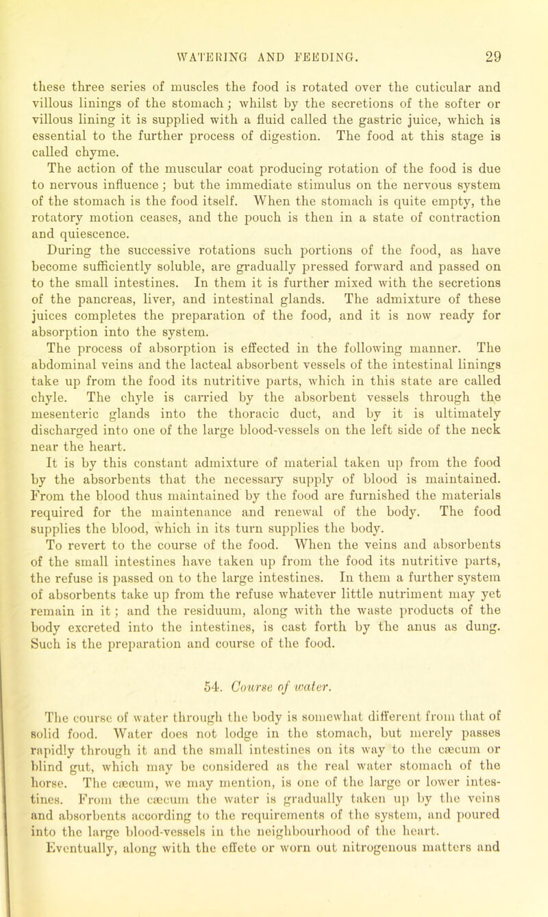 these three series of muscles the food is rotated over the cuticular and villous linings of the stomach; whilst by the secretions of the softer or villous lining it is supplied with a fluid called the gastric juice, which is essential to the further process of digestion. The food at this stage is called chyme. The action of the muscular coat producing rotation of the food is due to nervous influence; but the immediate stimulus on the nervous system of the stomach is the food itself. When the stomach is quite empty, the rotatory motion ceases, and the pouch is then in a state of contraction and quiescence. During the successive rotations such portions of the food, as have become sufficiently soluble, are gradually pressed forward and passed on to the small intestines. In them it is further mixed with the secretions of the pancreas, liver, and intestinal glands. The admixture of these juices completes the preparation of the food, and it is now ready for absorption into the system. The process of absorption is effected in the following manner. The abdominal veins and the lacteal absorbent vessels of the intestinal linings take up from the food its nutritive parts, which in this state are called chyle. The chyle is carried by the absorbent vessels through the mesenteric glands into the thoracic duct, and by it is ultimately discharged into one of the large blood-vessels on the left side of the neck near the heart. It is by this constant admixture of material taken up from the food by the absorbents that the necessary supply of blood is maintained. From the blood thus maintained by the food are furnished the materials required for the maintenance and renewal of the body. The food supplies the blood, which in its turn supplies the body. To revert to the course of the food. When the veins and absorbents of the small intestines have taken up from the food its nutritive parts, the refuse is passed on to the large intestines. In them a further system of absorbents take up from the refuse whatever little nutriment may yet remain in it; and the residuum, along with the waste products of the body excreted into the intestines, is cast forth by the anus as dung. Such is the preparation and course of the food. 54. Course of water. The course of water through the body is somewhat different from that of solid food. Water does not lodge in the stomach, but merely passes rapidly through it and the small intestines on its way to the caecum or blind gut, which may be considered as the real water stomach of the horse. The caecum, we may mention, is one of the large or lower intes- tines. From the caecum the water is gradually taken up by the veins and absorbents according to the requirements of the system, and poured into the large blood-vessels in the neighbourhood of the heart. Eventually, along with the effete or worn out nitrogenous matters and