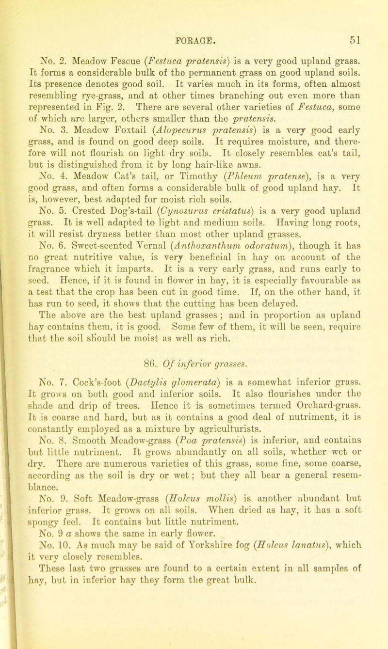 No. 2. Meadow Fescue (Festuca pratensis) is a very good upland grass. It forms a considerable bulk of the permanent grass on good upland soils. Its presence denotes good soil. It varies much in its forms, often almost resembling rye-grass, and at other times branching out even more than represented in Fig. 2. There are several other varieties of Festuca, some of which are larger, others smaller than the pratensis. No. 3. Meadow Foxtail (Alopecurus pratensis) is a very good early grass, and is found on good deep soils. It requires moisture, and there- fore will not flourish on light dry soils. It closely resembles cat’s tail, but is distinguished from it by long hair-like awns. No. 4. Meadow Cat’s tail, or Timothy (Plileum pratense), is a very good grass, and often forms a considerable bulk of good upland hay. It is, however, best adapted for moist rich soils. No. 5. Crested Dog’s-tail (Cynosurus cristatus) is a very good upland grass. It is well adapted to light and medium soils. Having long roots, it will resist dryness better than most other upland grasses. No. 6. Sweet-scented Yernal (Anthoxanthum odoratum), though it has no great nutritive value, is very beneficial in hay on account of the fragrance which it imparts. It is a veiy early grass, and runs early to seed. Hence, if it is found in flower in hay, it is especially favourable as a test that the crop has been cut in good time. If, on the other hand, it has ran to seed, it shows that the cutting has been delayed. The above are the best upland grasses ; and in proportion as upland hay contains them, it is good. Some few of them, it will be seen, require that the soil should be moist as well as rich. 86. Of inferior grasses. No. 7. Cock’s-foot (Dactylis glomerata) is a somewhat inferior grass. It grows on both good and inferior soils. It also flourishes under the shade and drip of trees. Hence it is sometimes termed Orchard-grass. It is coarse and hard, but as it contains a good deal of nutriment, it is constantly employed as a mixture by agriculturists. No. 8. Smooth Meadow-grass (Poa pratensis) is inferior, and contains but little nutriment. It gi*ows abundantly on all soils, whether wet or dry. There are numerous varieties of this grass, some fine, some coarse, according as the soil is dry or wet; but they all bear a general resem- blance. No. 9. Soft Meadow-grass (Holcus mollis) is another abundant but inferior grass. It grows on all soils. When dried as hay, it has a soft spongy feel. It contains but little nutriment. No. 9 a shows the same in early flower. No. 10. As much may be said of Yorkshire fog (Holcus lanatus), which it very closely resembles. These last two grasses are found to a certain extent in all samples of hay, but in inferior hay they form the great bulk.