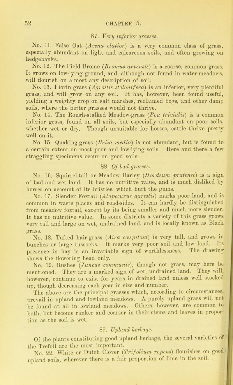 87. Very inferior grasses. No. 11. False Oat (Arena elatior) is a very common class of grass, especially abundant on light and calcareous soils, and often growing on hedgebanks. No. 12. The Field Brome (Bromus arvensis) is a coarse, common grass. It grows on low-lying ground, and, although not found in water-meadows, will flourish on almost any description of soil. No. 13. Fiorin grass (Agrostis stolonifera) is an inferior, very plentiful grass, and will grow on any soil. It has, however, been found useful, yielding a weighty crop on salt marshes, reclaimed bogs, and other damp soils, where the better grasses would not thrive. No. 14. The Rough-stalked Meadow-grass (Poa trivialis) is a common inferior grass, found on all soils, but especially abundant on poor soils, whether wet or dry. Though unsuitable for horses, cattle thrive pretty well on it. No. 15. Quaking-grass (Brim media) is not abundant, but is found to a certain extent on most poor and low-lying soils. Here and there a few straggling specimens occur on good soils. 88. Of bad grasses. No. 1G. SquiiTel-tail or Meadow Barley (Hordeum pratense) is a sign of bad and wet land. It has no nutritive value, and is much disliked by horses on account of its bristles, which hurt the gums. No. 17. Slender Foxtail (Alopecurus agrestis) marks poor land, and is common in waste places and road-sides. It can hardly be distinguished from meadow foxtail, except by its being smaller and much more slender. It has no nutritive value. In some districts a variety of this grass grows very tall and large on wet, undrained land, and is locally knowm as Black grass. No. 18. Tufted hair-grass (Aira ccespitosa) is very tall, and grows in bunches or large tussocks. It marks very poor soil and low land. Its presence in hay is an invariable sign of worthlessness. The drawing shows the flowering head only. No. 19. Rushes (Juncus communis), though not grass, may here be mentioned. They are a marked sign of wet, undrained land. They will, however, continue to exist for years in drained land unless well stocked up, though decreasing each year in size and number. The above are the principal grasses which, according to circumstances, prevail in upland and lowland meadows. A purely upland grass will not be found at all in lowland meadows. Others, however, are common to both, but become ranker and coarser in their stems and leaves in propor- tion as the soil is wet. 89. Upland herbage. Of the plants constituting good upland herbage, the several varieties of the Trefoil are the most important. No. 22. White or Dutch Clover (Trifolium repens) flourishes on good upland soils, wherever there is a fair proportion of lime in the soil.