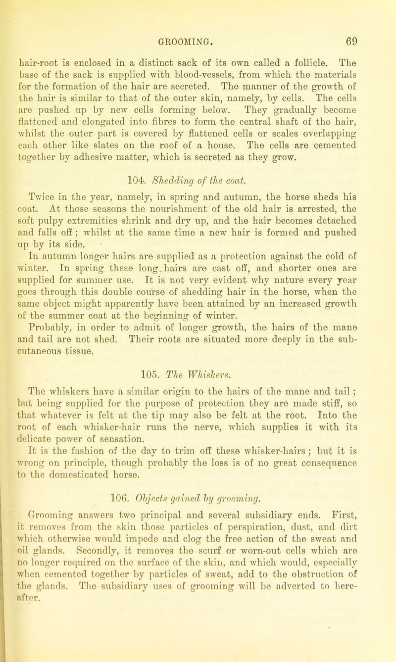 liair-root is enclosed in a distinct sack of its own called a follicle. The base of the sack is supplied with blood-vessels, from which the materials for the formation of the hair are secreted. The manner of the growth of the hair is similar to that of the outer skin, namely, by cells. The cells are pushed up by new cells forming below. They gradually become flattened and elongated into fibi'es to form, the central shaft of the hair, whilst the outer part is covered by flattened cells or scales overlapping each other like slates on the roof of a house. The cells are cemented together by adhesive matter, which is secreted as they grow. 104. Shedding of the coat. Twice in the year, namely, in spring and autumn, the horse sheds his coat. At those seasons the nourishment of the old hair is arrested, the soft pulpy extremities shrink and dry up, and the hair becomes detached and falls off; whilst at the same time a new hair is formed and pushed up by its side. In autumn longer hairs are supplied as a protection against the cold of winter. In spring these long, hairs are cast off, and shorter ones are supplied for summer use. It is not very evident why nature every year goes through this double course of shedding hair in the horse, when the same object might apparently have been attained by an increased growth of the summer coat at the beginning of winter. Probably, in order to admit of longer growth, the hams of the mane and tail are not shed. Their roots are situated more deeply in the sub- cutaneous tissue. 105. The Whiskers. The whiskers have a similar origin to the hairs of the mane and tail; but being supplied for the purpose of protection they are made stiff, so that whatever is felt at the tip may also be felt at the root. Into the root of each whisker-hair runs the nerve, which supplies it with its delicate power of sensation. It is the fashion of the day to ti’im off these whisker-hairs; but it is wrong on principle, though probably the loss is of no great consequence to the domesticated horse. 106. Objects gained, by grooming. Grooming answers two principal and several subsidiary ends. First, it removes from the skin those particles of perspiration, dust, and dirt which otherwise would impede and clog the free action of the sweat and oil glands. Secondly, it removes the scurf or worn-out cells which are no longer required on the surface of the skin, and which would, especially when cemented together by particles of sweat, add to the obstruction of the glands. The subsidiary uses of grooming will be adverted to here- after.