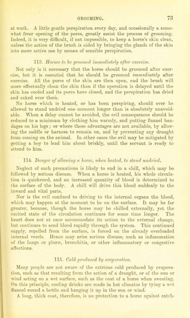 at work. A little gentle perspiration every day, and occasionally a some- what freer opening of the pores, greatly assist the process of grooming. Indeed, it is very difficult, if not impossible, to keep a horse’s skin clean, unless the action of the brush is aided by bringing the glands of the skin into more active use by means of sensible perspiration. 113. Horses to be groomed immediately after exercise. Not only is it necessary that the horse should be groomed after exer- cise, but it is essential that he should be groomed immediately after exercise. All the pores of the skin are then open, and the brush will more effectually clean the skin than if the operation is delayed until the skin has cooled and its pores have closed, and the perspiration has dried and caked over them. No horse which is heated, or has been perspiring, should ever be allowed to stand undried one moment longer than is absolutely unavoid- able. When a delay cannot be avoided, the evil consequences should be reduced to a minimum by clothing him warmly, and putting flannel ban- dages on his legs; or where these advantages are not available, by allow- ing the saddle or harness to remain on, and by preventing any draught from coming on the animal. In other cases the evil may be mitigated by getting a boy to lead him about briskly, until the servant is ready to attend to him. 114. Banger of allowing a horse, when heated, to stand' undried. Neglect of such precautions is likely to end in a chill, which may be followed by serious disease. When a horse is heated, his whole circula- tion is quickened, and an increased quantity of blood is determined to the surface of the body. A chill will drive this blood suddenly to the inward and vital parts. Nor is the evil confined to driving to the internal organs the blood, which may happen at the moment to be on the surface. It may be far greater, because, though the horse may be chilled externally, yet the excited state of the calculation continues for some time longer. The heart does not at once accommodate its action to the external change, but continues to send blood rapidly through the system. This continued supply, repelled from the surface, is forced on the already overloaded internal vesels. Hence may arise serious disease, such as inflammation of the lungs or plurse, bronchitis, or other inflammatory or congestive affections. 115. Cold produced by evaporation. Many people are not aware of the extreme cold produced by evapora- tion, such as that resulting from the action of a draught, or of the sun or wind acting on a wet surface, such as the coat of a horse when sweating. On this principle, cooling drinks are made in hot climates by tying a wet flannel round a bottle and hanging it up in the sun or wind. A long, thick coat, therefore, is no protection to a horse against catch-