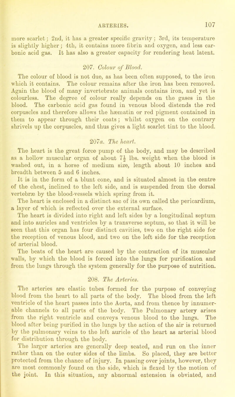 more scarlet; 2nd, it has a greater specific gravity; 3rd, its temperature is slightly higher; 4th, it contains more fibrin and oxygen, and less car- bonic acid gas. It has also a greater capacity for rendering heat latent. 207. Colour of Blood. The colour of blood is not due, as has been often supposed, to the iron which it contains. The colour remains after the iron has been removed. Again the blood of many invertebrate animals contains iron, and yet is colourless. The degree of colour really depends on the gases in the blood. The carbonic acid gas found in venous blood distends the red corpuscles and therefore allows the haematin or red pigment contained in them to appear through their coats; whilst oxygen on the contrary shrivels up the corpuscles, and thus gives a light scarlet tint to the blood. 207a. The heart. The heart is the great force pump of the body, and may be described as a hollow muscular organ of about 7| lbs. weight when the blood is washed out, in a horse of medium size, length about 10 inches and breadth between 5 and 6 inches. It is in the form of a blunt cone, and is situated almost in the centime of the chest, inclined to the left side, and is suspended from the dorsal vertebrae by the blood-vessels which spi'ing from it. The heart is enclosed in a distinct sac of its own called the pericardium, a layer of which is reflected over the external surface. The heart is divided into right and left sides by a longitudinal septum and into auricles and ventricles by a transverse septum, so that it will be seen that this organ has four distinct cavities, two on the right side for the inception of venous blood, and two on the left side for the reception of arterial blood. The beats of the heart are caused by the contraction of its muscular walls, by which the blood is forced into the lungs for purification and from the lungs through the system generally for the purpose of nutrition. 208. The Arteries. The arteries are elastic tubes formed for the purpose of conveying blood from the heart to all parts of the body. The blood from the left ventricle of the heart passes into the Aorta, and from thence by innumer- able channels to all parts of the body. The Pulmonary artery arises from the right ventricle and conveys venous blood to the lungs. The blood after being purified in tho lungs by the action of the air is returned by tho pulmonary veins to tho left auricle of the heart as arterial blood for distribution through the body. The larger arteries are generally deep seated, and run on the inner rather than on the outer sides of the limbs. So placed, they are better protected from the chance of injury. In passing over joints, however, they are most commonly found on the side, which is flexed by the motion of the joint. In this situation, any abnormal extension is obviated, and