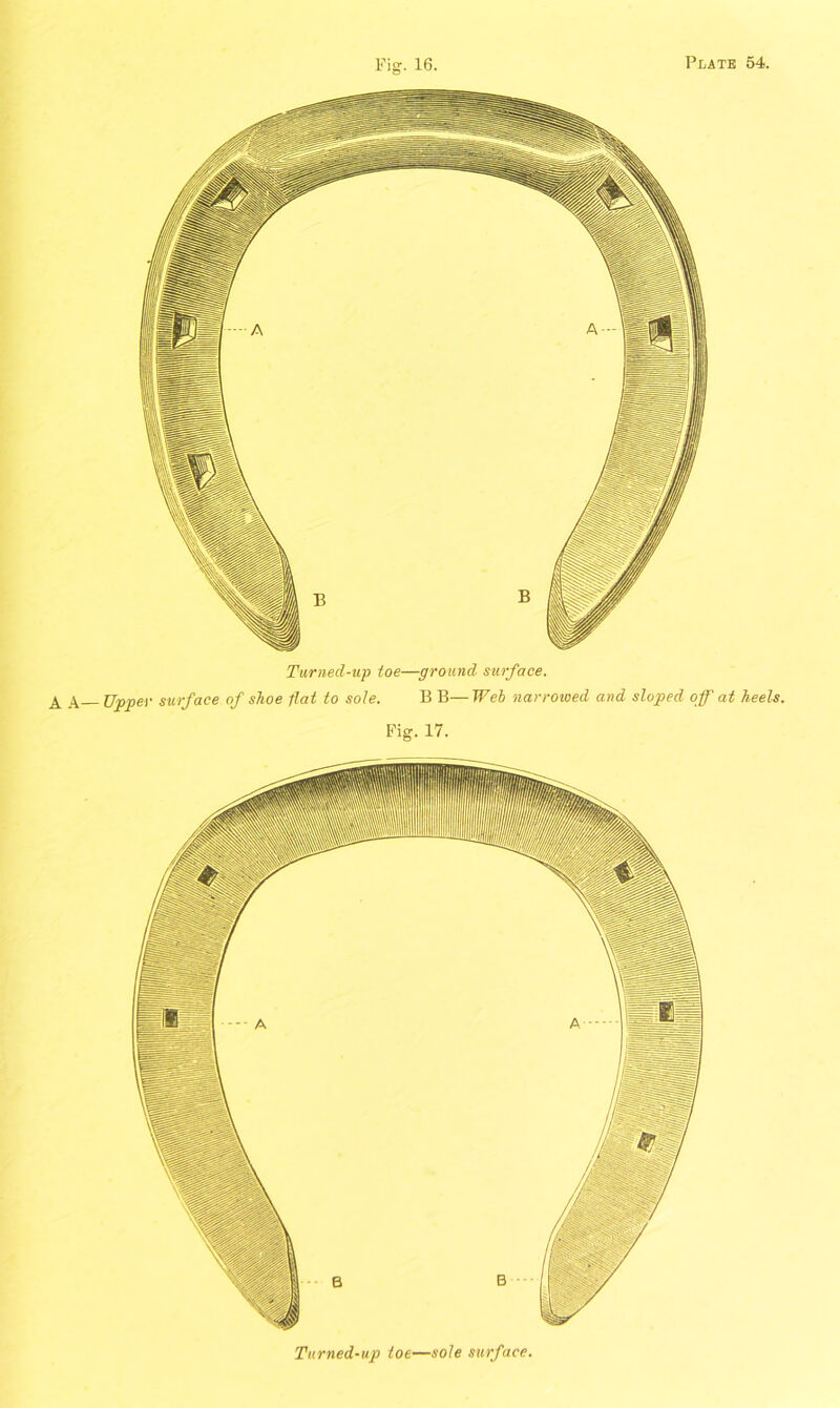 Turned-up toe—ground surface. X X Upper surface of shoe flat to sole. B B—Web narrowed and sloped off at heels. Fig. 17. Turned-up toe—sole surface.