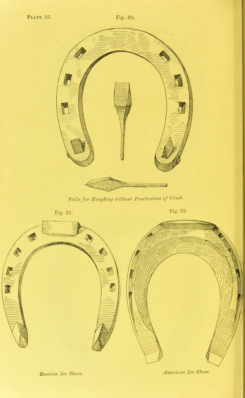 Fig. 20, Nails fur Houghing without Penetration of Crust. Fig. 21. Fig. 22. Russian Ice Shoes. American Ice Shoes.