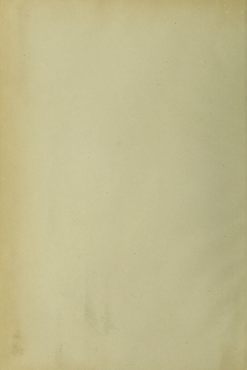 t ♦' 1 • f V 4 V i w