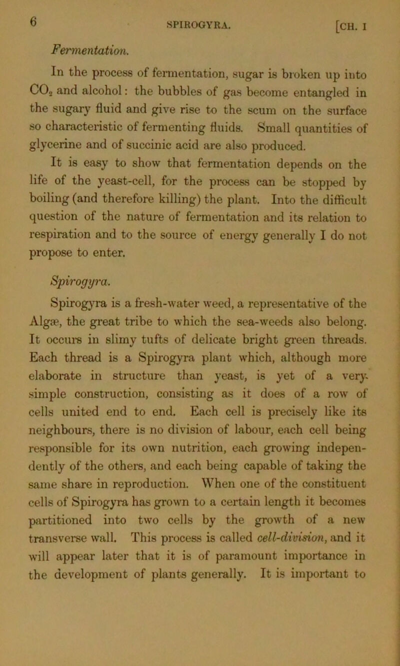 Fermentation. In the process of fermentation, sugar is broken up into COo and alcohol: the bubbles of gas become entangled in the sugary fluid and give rise to the scum on the surface so characteristic of fermenting fluids. Small quantities of glycerine and of succinic acid are also produced. It is easy to show that fermentation depends on the life of the yeast-cell, for the process can be stopped by boiling (and therefore killing) the plant. Into the difficult question of the nature of fermentation and its relation to respiration and to the source of energy generally I do not propose to enter. Spirogyra. Spirogyra is a fresh-water weed, a representative of the Alga?, the great tribe to which the sea-weeds also belong. It occurs in slimy tufts of delicate bright green threads. Each thread is a Spirogyra plant which, although more elaborate in structure than yeast, is yet of a very, simple construction, consisting as it does of a row of cells united end to end. Each cell is precisely like its neighbours, there is no division of labour, each cell being responsible for its own nutrition, each growing indepen- dently of the others, and each being capable of taking the same share in reproduction. When one of the constituent cells of Spirogyra has grown to a certain length it becomes partitioned into two cells by the growth of a new transverse wall. This process is called cell-division, and it will appear later that it is of paramount importance in the development of plants generally. It is important to