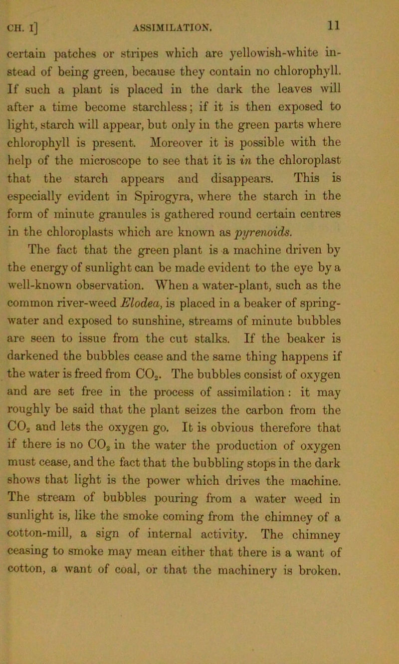 certain patches or stripes which are yellowish-white in- stead of being green, because they contain no chlorophyll. If such a plant is placed in the dark the leaves will after a time become starchless; if it is then exposed to light, starch will appear, but only in the green parts where chlorophyll is present. Moreover it is possible with the help of the microscope to see that it is in the chloroplast that the starch appears and disappears. This is especially evident in Spirogyra, where the starch in the form of minute granules is gathered round certain centres in the chloroplasts which are known as pyrenoids. The fact that the green plant is a machine driven by the energy of sunlight can be made evident to the eye by a well-known observation. When a water-plant, such as the common river-weed Elodeci, is placed in a beaker of spring- water and exposed to sunshine, streams of minute bubbles are seen to issue from the cut stalks. If the beaker is darkened the bubbles cease and the same thing happens if the water is freed from C02. The bubbles consist of oxygen and are set free in the process of assimilation: it may roughly be said that the plant seizes the carbon from the C02 and lets the oxygen go. It is obvious therefore that if there is no C02 in the water the production of oxygen must cease, and the fact that the bubbling stops in the dark shows that light is the power which drives the machine. The stream of bubbles pouring from a water weed in sunlight is, like the smoke coming from the chimney of a cotton-mill, a sign of internal activity. The chimney ceasing to smoke may mean either that there is a want of cotton, a want of coal, or that the machinery is broken.