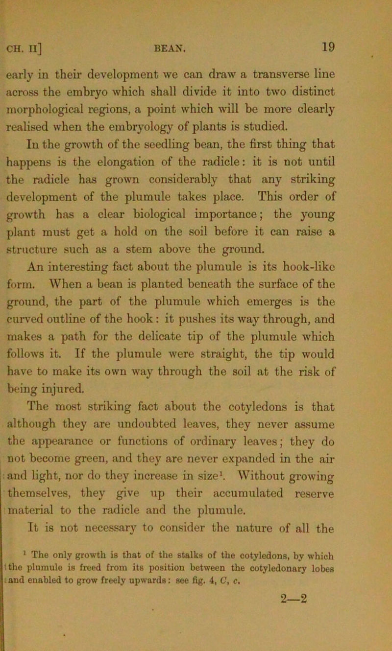 early in their development we can draw a transverse line across the embryo which shall divide it into two distinct morphological regions, a point which will be more clearly realised when the embryology of plants is studied. In the growth of the seedling bean, the first thing that happens is the elongation of the radicle: it is not until the radicle has grown considerably that any striking development of the plumule takes place. This order of growth has a clear biological importance; the young plant must get a hold on the soil before it can raise a structure such as a stem above the ground. An interesting fact about the plumule is its hook-like form. When a bean is planted beneath the surface of the ground, the part of the plumule which emerges is the curved outline of the hook : it pushes its way through, and makes a path for the delicate tip of the plumule which follows it. If the plumule were straight, the tip would have to make its own way through the soil at the risk of being injured. The most striking fact about the cotyledons is that although they are undoubted leaves, they never assume the appearance or functions of ordinary leaves; they do not become green, and they are never expanded in the air and light, nor do they increase in size1. Without growing themselves, they give up their accumulated reserve material to the radicle and the plumule. It is not necessary to consider the nature of all the 1 The only growth is that of the stalks of the cotyledons, by which tthe plumule is freed from its position between the cotyledonary lobes and enabled to grow freely upwards: see fig. 4, C, c. 2—2