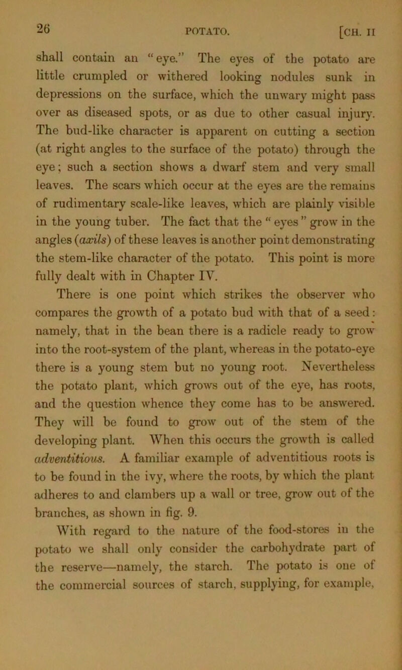 shall contain an “eye.” The eyes of the potato are little crumpled or withered looking nodules sunk in depressions on the surface, which the unwary might pass over as diseased spots, or as due to other casual injury. The bud-like character is apparent on cutting a section (at right angles to the surface of the potato) through the eye; such a section shows a dwarf stem and very small leaves. The scars which occur at the eyes are the remains of rudimentary scale-like leaves, which are plainly visible in the young tuber. The fact that the “ eyes ” grow in the angles {axils) of these leaves is another point demonstrating the stem-like character of the potato. This point is more fully dealt with in Chapter IV. There is one point which strikes the observer who compares the growth of a potato bud with that of a seed: namely, that in the bean there is a radicle ready to grow into the root-system of the plant, whereas in the potato-eye there is a young stem but no young root. Nevertheless the potato plant, which grows out of the eye, has roots, and the question whence they come has to be answered. They will be found to grow out of the stem of the developing plant. When this occurs the growth is called adventitious. A familiar example of adventitious roots is to be found in the ivy, where the roots, by which the plant adheres to and clambers up a wall or tree, growr out of the branches, as shown in fig. 9. With regard to the nature of the food-stores in the potato we shall only consider the carbohydrate part of the reserve—namely, the starch. The potato is one of the commercial sources of starch, supplying, for example,