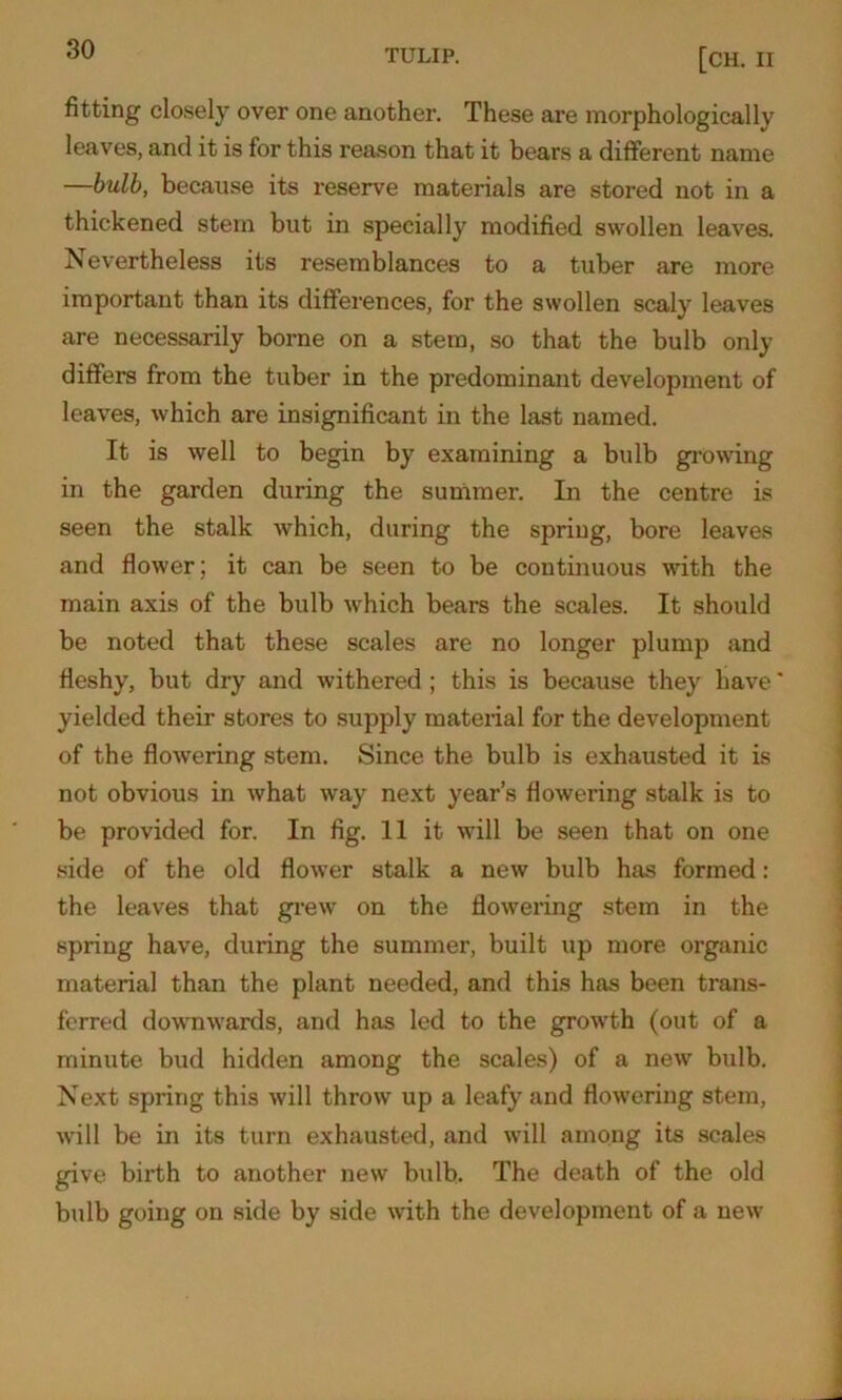 fitting closely over one another. These are morphologically leaves, and it is for this reason that it bears a different name —bulb, because its reserve materials are stored not in a thickened stem but in specially modified swollen leaves. Nevertheless its resemblances to a tuber are more important than its differences, for the swollen scaly leaves are necessarily borne on a stem, so that the bulb only differs from the tuber in the predominant development of leaves, which are insignificant in the last named. It is well to begin by examining a bulb growing in the garden during the summer. In the centre is seen the stalk which, during the spring, bore leaves and flower; it can be seen to be continuous with the main axis of the bulb which bears the scales. It should be noted that these scales are no longer plump and fleshy, but dry and withered ; this is because they have' yielded their stores to supply material for the development of the flowering stem. Since the bulb is exhausted it is not obvious in what way next year’s flowering stalk is to be provided for. In fig. 11 it will be seen that on one side of the old flower stalk a new bulb has formed: the leaves that grew on the flowering stem in the spring have, during the summer, built up more organic material than the plant needed, and this has been trans- ferred downwards, and has led to the growth (out of a minute bud hidden among the scales) of a new bulb. Next spring this will throw up a leafy and flowering stem, will be in its turn exhausted, and will among its scales give birth to another new bulb. The death of the old bulb going on side by side with the development of a new