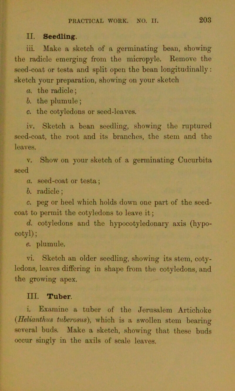 II. Seedling. iii. Make a sketch of a germinating bean, showing the radicle emerging from the micropyle. Remove the seed-coat or testa and split open the bean longitudinally: sketch your preparation, showing on your sketch a. the radicle; b. the plumule; c. the cotyledons or seed-leaves. iv. Sketch a bean seedling, showing the ruptured seed-coat, the root and its branches, the stem and the leaves. v. Show on your sketch of a germinating Cucurbita seed a. seed-coat or testa; b. radicle; c. peg or heel which holds down one part of the seed- coat to permit the cotyledons to leave it; d. cotyledons and the hypocotyledonary axis (hypo- cotyl); e. plumule. vi. Sketch an older seedling, showing its stem, coty- ledons, leaves differing in shape from the cotyledons, and the growing apex. III. Tuber. i. Examine a tuber of the Jerusalem Artichoke (Ileliantkus tuberosm), which is a swollen stem bearing several buds. Make a sketch, showing that these buds occur singly in the axils of scale leaves.