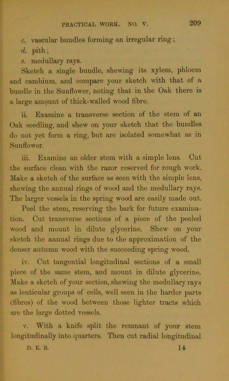 c. vascular bundles forming an irregular ring; d. pith; e. medullary rays. Sketch a single bundle, shewing its xylem, phloem and cambium, and compare your sketch with that of a bundle in the Sunflower, noting that in the Oak there is a large amount of thick-walled wood fibre. ii. Examine a transverse section of the stem of an Oak seedling, and shew on your sketch that the bundles do not yet form a ring, but are isolated somewhat as in Sunflower. iii. Examine an older stem with a simple lens. Cut the surface clean with the razor reserved for rough work. Make a sketch of the surface as seen with the simple lens, shewing the annual rings of wood and the medullary rays. The larger vessels in the spring wood are easily made out. Peel the stem, reserving the bark for future examina- tion. Cut transverse sections of a piece of the peeled wood and mount in dilute glycerine. Shew' on your sketch the annual rings due to the approximation of the denser autumn wood with the succeeding spring wood. iv. Cut tangential longitudinal sections of a small piece of the same stem, and mount in dilute glycerine. Make a sketch of your section, shewing the medullary rays as lenticular groups of cells, well seen in the harder parts (fibres) of the wood between those lighter tracts which are the large dotted vessels. v. With a knife split the remnant of your stem longitudinally into quarters. Then cut radial longitudinal 14 D. E. B.