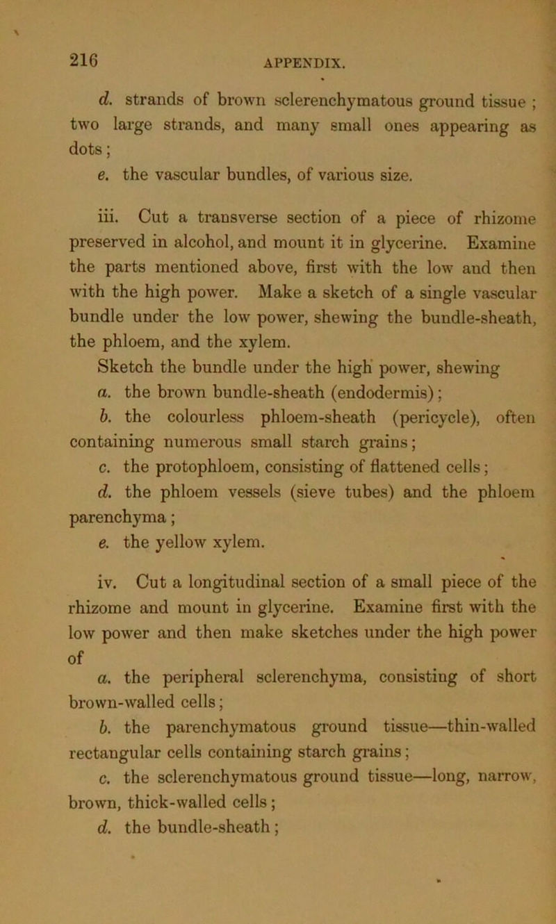 d. strands of brown sclerenchymatous ground tissue ; two large strands, and many small ones appearing as dots; e. the vascular bundles, of various size. iii. Cut a transverse section of a piece of rhizome preserved in alcohol, and mount it in glycerine. Examine the parts mentioned above, first with the low and then with the high power. Make a sketch of a single vascular bundle under the low power, shewing the bundle-sheath, the phloem, and the xylem. Sketch the bundle under the high power, shewing a. the brown bundle-sheath (endodermis); b. the colourless phloem-sheath (pericycle), often containing numerous small starch grains; c. the protophloem, consisting of flattened cells; d. the phloem vessels (sieve tubes) and the phloem parenchyma; e. the yellow xylem. iv. Cut a longitudinal section of a small piece of the rhizome and mount in glycerine. Examine first with the low power and then make sketches under the high power of a. the peripheral sclerenchyma, consisting of short brown-walled cells; b. the parenchymatous ground tissue—thin-walled rectangular cells containing starch grains; c. the sclerenchymatous ground tissue—long, narrow, brown, thick-walled cells; d. the bundle-sheath;
