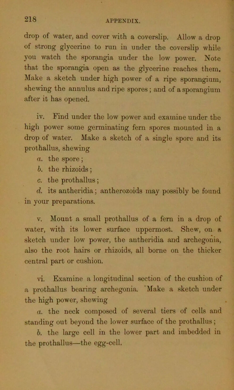 drop of water, and cover with a coverslip. Allow a drop of strong glycerine to run in under the coverslip while you watch the sporangia under the low power. Note that the sporangia open as the glycerine reaches them. Make a sketch under high power of a ripe sporangium, shewing the annulus and ripe spores ; and of a sporangium after it has opened. iv. Find under the low power and examine under the high power some germinating fern spores mounted in a drop of water. Make a sketch of a single spore and its prothallus, shewing a. the spore; b. the rhizoids; c. the prothallus; d. its antheridia; antherozoids may possibly be found in your preparations. v. Mount a small prothallus of a fern in a drop of water, with its lower surface uppermost. Shew, on a sketch under low power, the antheridia and archegonia, also the root hairs or rhizoids, all borne on the thicker central part or cushion. vi. Examine a longitudinal section of the cushion of a prothallus bearing archegonia. ‘Make a sketch under the high power, shewing a. the neck composed of several tiers of cells and standing out beyond the lower surface of the prothallus; b. the large cell in the lower part and imbedded in the prothallus—the egg-cell.