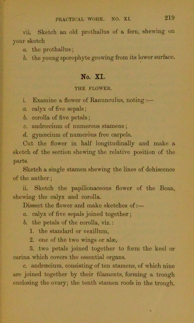 vii. Sketch an old prothallus of a fern, shewing on your sketch a. the prothallus; b. the young sporophyte growing from its lower surface. No. XI. THE FLOWER. i. Examine a flower of Ranunculus, noting:— а. calyx of five sepals; б. corolla of five petals; c. androecium of numerous stamens ; d. gyncecium of numerous free carpels. Cut the flower in half longitudinally and make a sketch of the section shewing the relative position of the parts. Sketch a single stamen shewing the lines of dehiscence of the anther; ii. Sketch the papilionaceous flower of the Bean, shewing the calyx and corolla. Dissect the flower and make sketches of:— a. calyx of five sepals joined together ; b. the petals of the corolla, viz.: 1. the standard or vexillum, 2. one of the two wings or alse, 3. two petals joined together to form the keel or carina which covers the essential organs. c. androecium, consisting of ten stamens, of which nine are joined together by their filaments, forming a trough enclosing the ovary; the tenth stamen roofs in the trough.