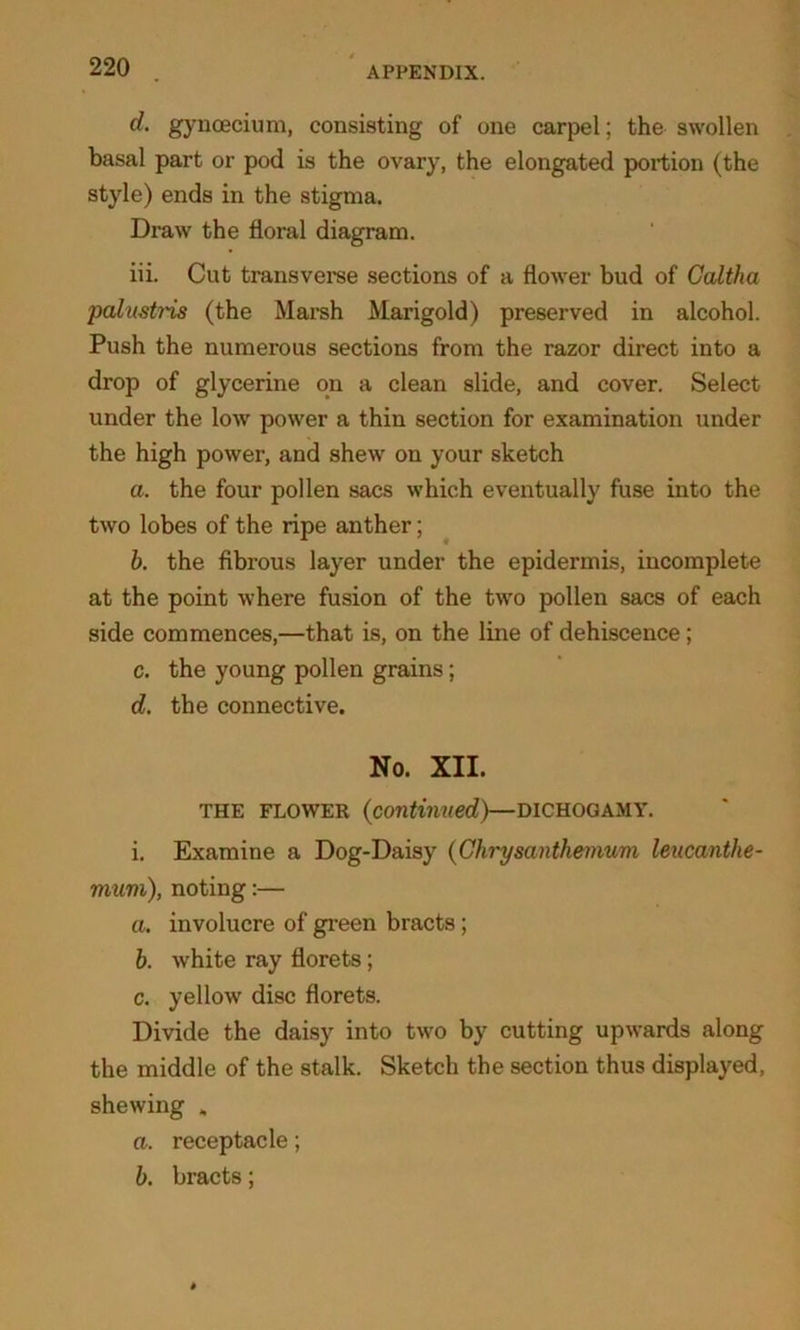 d. gynoecium, consisting of one carpel; the swollen basal part or pod is the ovary, the elongated portion (the style) ends in the stigma. Draw the floral diagram. iii. Cut transverse sections of a flower bud of Galtha palu-stris (the Marsh Marigold) preserved in alcohol. Push the numerous sections from the razor direct into a drop of glycerine on a clean slide, and cover. Select under the low power a thin section for examination under the high power, and shew on your sketch a. the four pollen sacs which eventually fuse into the two lobes of the ripe anther; b. the fibrous layer under the epidermis, incomplete at the point where fusion of the two pollen sacs of each side commences,—that is, on the line of dehiscence; c. the young pollen grains; d. the connective. No. XII. the flower (continued)—DICHOGAMY. i. Examine a Dog-Daisy (Chrysanthemum leucanthe- mum), noting:— a. involucre of green bracts; b. white ray florets; c. yellow disc florets. Divide the daisy into two by cutting upwards along the middle of the stalk. Sketch the section thus displayed, shewing * a. receptacle; b. bracts;