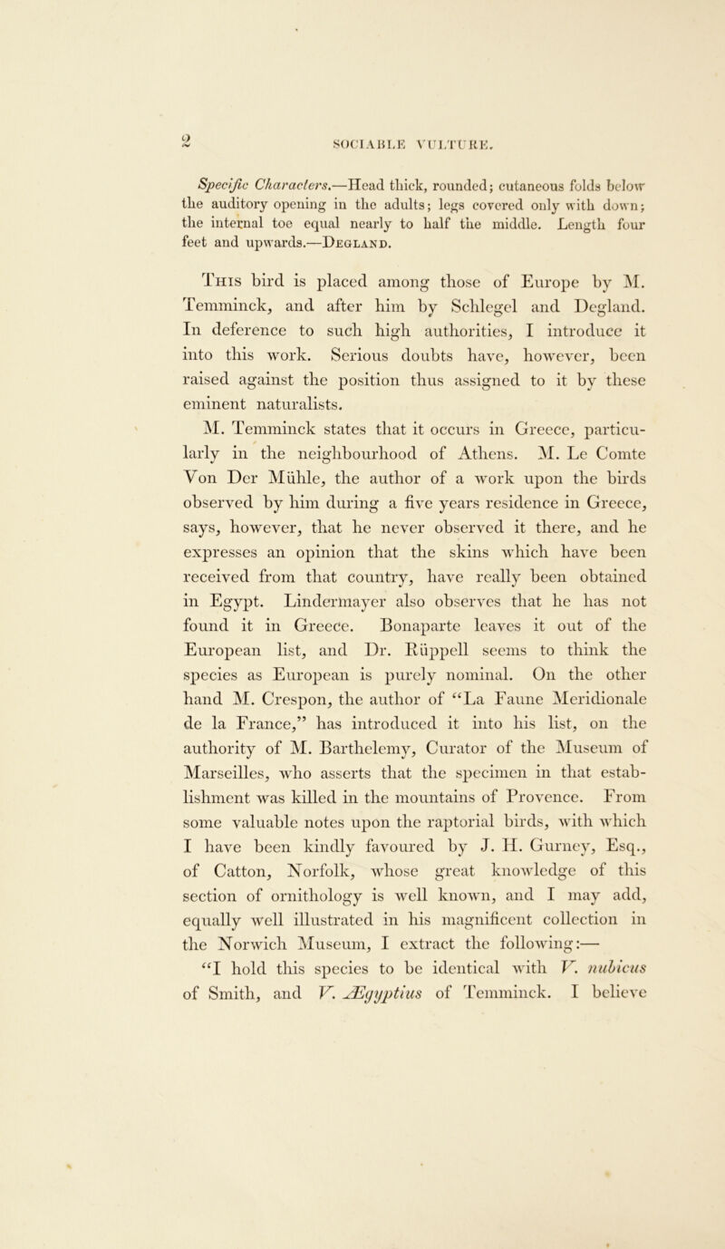 C) »>v SOCIABLE \ULTURE. Specijic Characters,—Head tliick, rounded; cutaneous folds belo\r tlie auditory opening in the adults; legs covered only with down; the internal toe equal nearly to half the middle. Length four feet and upwards.—Degland. This bird is placed among those of Europe by M. Temminck^ and after him by Schlegel and Degland. In deference to such high authorities^ I introduce it into this work. Serious doubts have, however, been raised against the position thus assigned to it by these eminent naturalists. M. Temminck states that it occurs in Greece, particu- larly in the neighbourhood of Athens. M. Le Comte Von Der Miihle, the author of a work upon the birds observed by him during a five years residence in Greece, says, however, that he never observed it there, and he exjiresses an opinion that the skins which have been received from that country, have really been obtained in Egypt. Lindermayer also observes that he has not found it in Greece. Bonaparte leaves it out of the European list, and Dr. Buppell seems to think the species as European is purely nominal. On the other hand M. Crespon, the author of ^‘La Faune Meridionale de la France,” has introduced it into his list, on the authority of M. Barthelemy, Curator of the Museum of Marseilles, who asserts that the specimen in that estab- lishment was killed in the mountains of Provence. From some valuable notes upon the raptorial birds, with Avhich I have been kindly favoured by J. H. Gurney, Esq., of Catton, Norfolk, whose great knowledge of this section of ornithology is well known, and I may add, equally well illustrated in his magnificent collection in the Norwich Museum, I extract the following:— hold this species to be identical with V. nuhicus