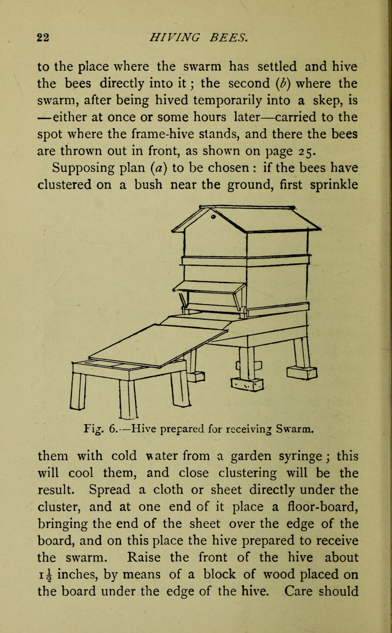 to the place where the swarm has settled and hive the bees directly into it; the second (b) where the swarm, after being hived temporarily into a sleep, is —either at once or some hours later—carried to the spot where the frame-hive stands, and there the bees are thrown out in front, as shown on page 25. Supposing plan (a) to be chosen : if the bees have clustered on a bush near the ground, first sprinkle Fig. 6.—Hive prepared for receiving Swarm. them with cold water from a garden syringe; this will cool them, and close clustering will be the result. Spread a cloth or sheet directly under the cluster, and at one end of it place a floor-board, bringing the end of the sheet over the edge of the board, and on this place the hive prepared to receive the swarm. Raise the front of the hive about 14 inches, by means of a block of wood placed on the board under the edge of the hive. Care should