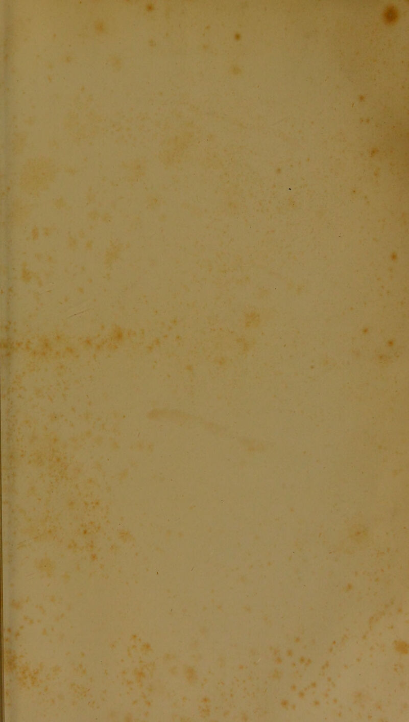 * _ . A * É k $ ' \ ■ ■ . ■*4 g :4 » i : ••. ■ » • « j ». ■ . , - » # ¥ *» JÉ . cr’ ■ f • , ,* • / * ,â> » <* / • * % f* Jfe * * * p1 ,H' « V . *