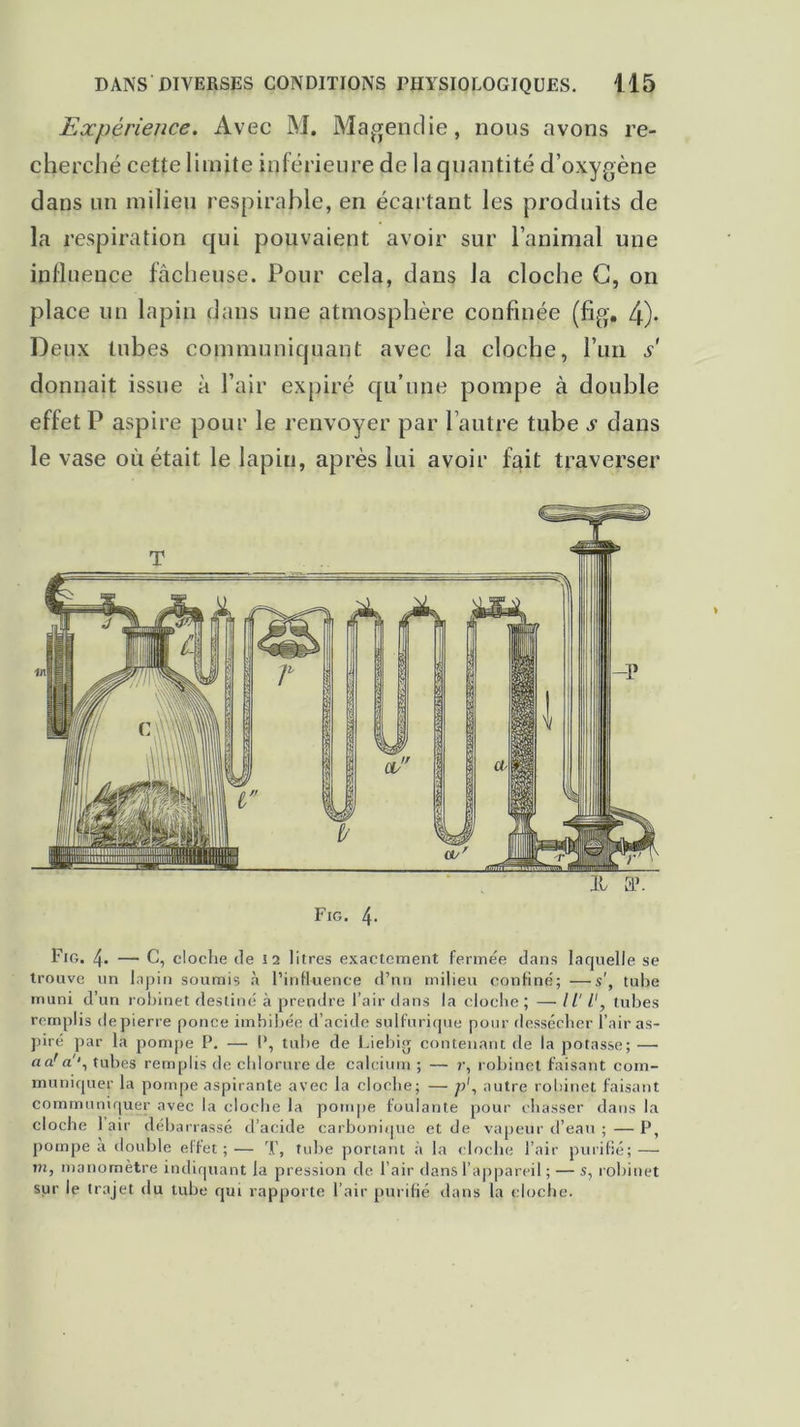 Expérience. Avec M. Magendie, nous avons re- cherché cette limite inférieure de la quantité d’oxygène dans un milieu respirable, en écartant les produits de la respiration qui pouvaient avoir sur l’animal une influence fâcheuse. Pour cela, dans la cloche G, on place un lapin dans une atmosphère confinée (fig, 4)- Deux tubes communiquant avec la cloche, l’un s donnait issue à l’air expiré qu’une pompe à double effet P aspire pour le renvoyer par l’autre tube y dans le vase où était le lapin, après lui avoir fait traverser il a?. Fig. 4- Fig. 4. —■ C, cloche île 12 litres exactement fermée dans laquelle se trouve un lapin soumis à l’influence d’nn milieu confiné; —s', tube muni d’un robinet destiné à prendre l’air dans la cloche ; — II' l', tubes remplis de pierre ponce imbibée d’acide sulfurique pour dessécher l’air as- piré par la pompe P. — P, tube de Liebig contenant de la potasse; — aa a'\ tubes remplis de chlorure de calcium ; — ?•, robinet faisant com- muniquer la pompe aspirante avec la cloche; — p1, autre robinet faisant communiquer avec la cloche la pompe foulante pour chasser dans la cloche 1 air débarrassé d’acide carbonique et de vapeur d’eau ;—P, pompe a double effet ; — T, tube portant à la cloche l’air purifié; — m, manomètre indiquant la pression de l’air dans l’appareil ; — s, robinet sur le trajet du tube qui rapporte l’air purifié dans la cloche.