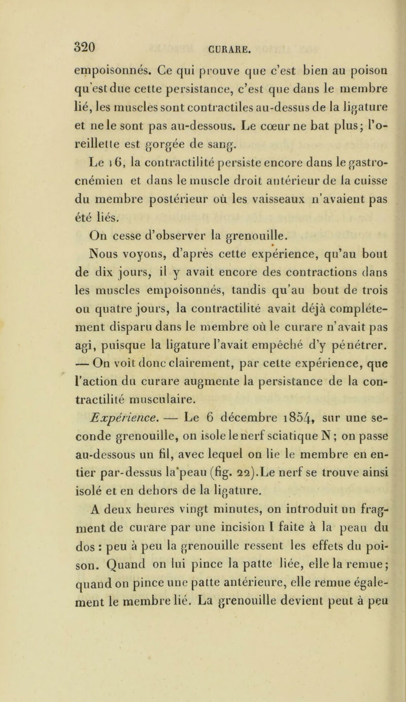 empoisonnés. Ce qui prouve que c’est bien au poison qu'est due cette persistance, c’est que dans le membre lié, les muscles sont contractiles au-dessus de la ligature et ne le sont pas au-dessous. Le cœur ne bat plus; l’o- reilletle est gorgée de sang. Le 16, la contractilité persiste encore dans legastro- cnémien et dans le muscle droit antérieur de la cuisse du membre postérieur où les vaisseaux n’avaient pas été liés. On cesse d’observer la grenouille. Nous voyons, d’après cette expérience, qu’au bout de dix jours, il y avait encore des contractions dans les muscles empoisonnés, tandis qu’au bout de trois ou quatre jours, la contractilité avait déjà complète- ment disparu dans le membre où le curare n’avait pas agi, puisque la ligature l’avait empêché d’y pénétrer. — On voit donc clairement, par cette expérience, que l’action du curare augmente la persistance de la con- tractilité musculaire. Expérience. — Le 6 décembre 1854* sur une se- conde grenouille, on isole le nerf sciatique N ; on passe au-dessous un fil, avec lequel on lie le membre en en- tier par-dessus la'peau (fig. 22).Le nerf se trouve ainsi isolé et en dehors de la ligature. A deux heures vingt minutes, on introduit un frag- ment de curare par une incision 1 faite à la peau du dos : peu à peu la grenouille ressent les effets du poi- son. Quand on lui pince la patte liée, elle la remue; quand on pince une patte antérieure, elle remue égale- ment le membre lié. La grenouille devient peut à peu