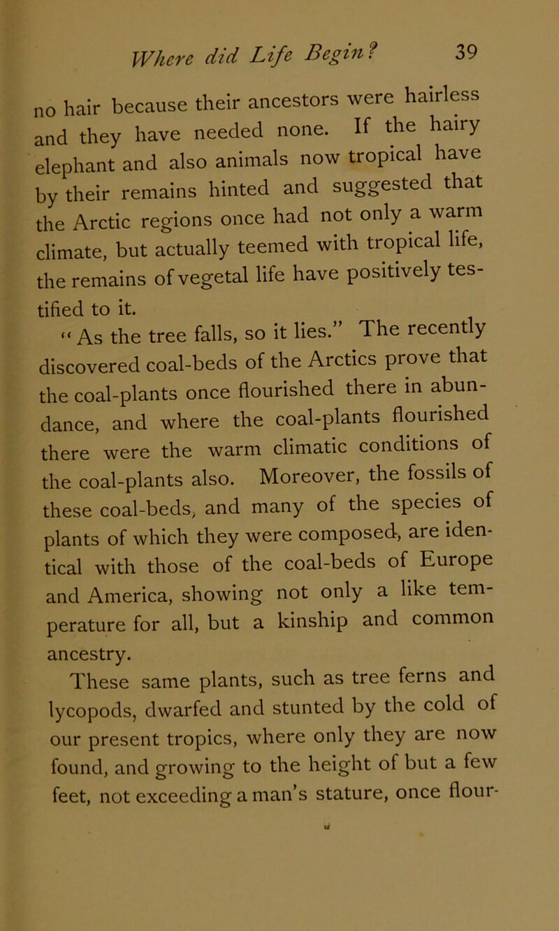 no hair because their ancestors were hairless and they have needed none. If the hairy elephant and also animals now tropical have by their remains hinted and suggested that the Arctic regions once had not only a warm climate, but actually teemed with tropical life, the remains of vegetal life have positively tes- tified to it. “As the tree falls, so it lies.’ The recently discovered coal-beds of the Arctics prove that the coal-plants once flourished there in abun- dance, and where the coal-plants flourished there were the warm climatic conditions of the coal-plants also. Moreover, the fossils of these coal-beds, and many of the species of plants of which they were composed:, are iden- tical with those of the coal-beds of Europe and America, showing not only a like tem- perature for all, but a kinship and common ancestry. These same plants, such as tree ferns and lycopods, dwarfed and stunted by the cold of our present tropics, where only they are now found, and growing to the height of but a few feet, not exceeding a man’s stature, once flour-