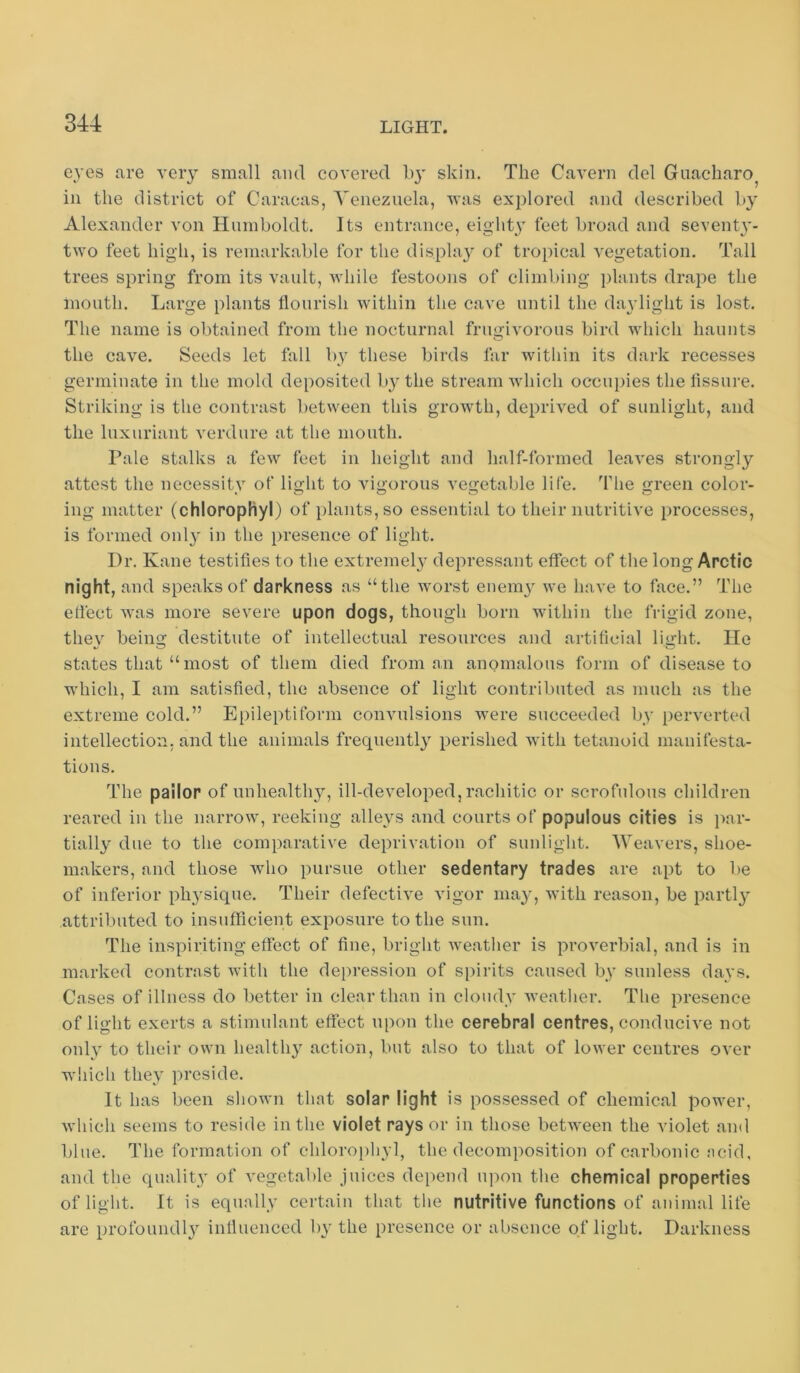 eyes are veiy small and covered by skin. The Cavern del Guacharo^ in the district of Caracas, Venezuela, was explored and described by Alexander von Humboldt, Its entrance, eighty feet broad and seventy- two feet high, is remarkable for the display of tropical yegetation. Tall trees spring from its vault, Avhile festoons of climbing plants drape the mouth. Large plants flourish within the cave until the daylight is lost. The name is obtained from the nocturnal frugivorous bird which haunts the cave. Seeds let fall by these birds far within its dark recesses germinate in the mold deposited by the stream Avhich occu})ies the Assure. Striking is the contrast between this growth, deprived of sunlight, and the luxuriant verdure at the mouth. Pale stalks a few feet in height and half-formed leaves strongly attest the necessity of light to vigorous vegetable life, ^I'lie green color- ing matter (chlorophyl) of plants, so essential to their nutritive processes, is formed only in the presence of light. Dr. Kane testifies to the extremel}^ depressant effect of the long Arctic night, and speaks of darkness as “the worst enem}' we have to face.” The eflect was more severe upon dogs, though born within the frigid zone, they being destitute of intellectual resources and artificial light. He states that “ most of them died from an anomalous form of disease to which, I am satisfied, the absence of light contributed as much as the extreme cold.” Epileptiform convulsions were succeeded by perverted intellection, and the animals frequently perished with tetanoid manifesta- tions. The pailor of unhealthy, ill-developed, rachitic or scrofulous children reared in the narrow, reeking alleys and courts of populous cities is par- tially due to the comparative deprivation of sunlight. Weavers, shoe- makers, and those who pursue other sedentary trades are apt to be of inferior ph3'sique. Their defective vigor mayq with reason, be partl}^ attributed to insufficient exposure to the sun. The inspiriting effect of fine, bright weatlier is proverbial, and is in marked contrast with the depression of spirits caused by sunless days. Cases of illness do better in clear than in cloudy weather. The presence of light exerts a stimulant effect upon the cerebral centres, conducive not onlv' to their own healtly action, but also to that of lower centres over which the}^ preside. It has been shown that solar light is possessed of chemical power, which seems to reside in the violet rays or in those between the violet ami blue. The formation of chlorophyl, the decomposition of carbonic acid, and the quality of vegetable juices depend upon the chemical properties of light. It is equally certain that the nutritive functions of animal life are profoundl} influenced by the presence or absence of light. Darkness