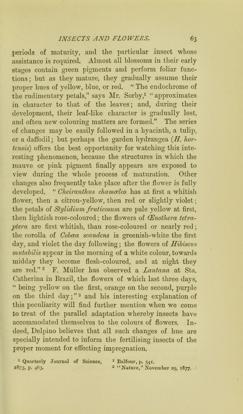 periods of maturity, and the particular insect whose assistance is required. Almost all blossoms in their early stages contain green pigments and perform foliar func- tions ; but as they mature, they gradually assume their proper hues of yellow, blue, or red. “ The endochrome of the rudimentary petals,” says Mr. Sorby/ approximates in character to that of the leaves; and, during their development, their leaf-like character is gradually lost, and often new colouring matters are formed.” The series of changes may be easily followed in a hyacinth, a tulip, or a daffodil; but perhaps the garden hydrangea {H. lior- tcnsis) offers the best opportunity for watching this inte- resting phenomenon, because the structures in which the mauve or pink pigment finally appears are exposed to view during the whole process of maturation. Other changes also frequently take place after the flower is fully developed. Cheiranthus chamaleo has at first a whitish flower, then a citron-yellow, then red or slightly violet; the petals of Stylidiu7ii fruticosum are pale yellow at first, then lightish rose-coloured; the flowers of (Enothera tetra- jptera are first whitish, than rose-coloured or nearly red; the corolla of Cobcea scandcns is greenish-white the first day, and violet the day following; the flowers of Hibiscus mutabilis appear in the morning of a white colour, towards midday they become flesh-coloured, and at night they are red.” ^ F. Muller has observed a Lantana at Sta. Catherina in Brazil, the flowers of which last three days, “ being yellow on the first, orange on the second, purple on the third day; ” ^ and his interesting explanation of this peculiarity will find further mention when we come to treat of the parallel adaptation whereby insects have accommodated themselves to the colours of flowers. In- deed, Delpino believes that all such changes of hue are specially intended to inform the fertilising insects of the proper moment for effecting impregnation. ^ Quarterly Journal of Science, 1873, p. 463. Balfour, p. 541. ^ “Nature,” November 29, 1877. '