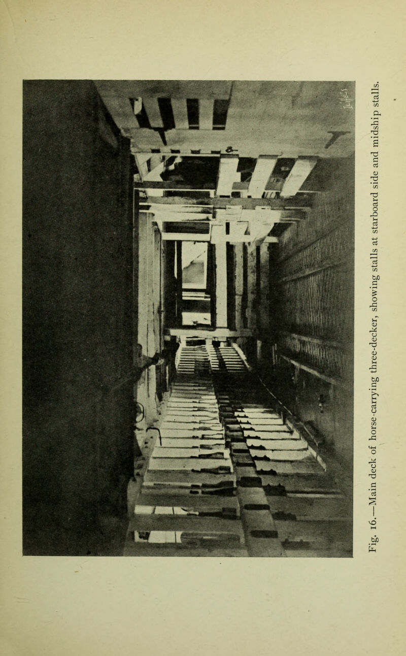 [• i6.—Main deck of horse-carrying three-decker, showing stalls at starboard side and midship stalls.