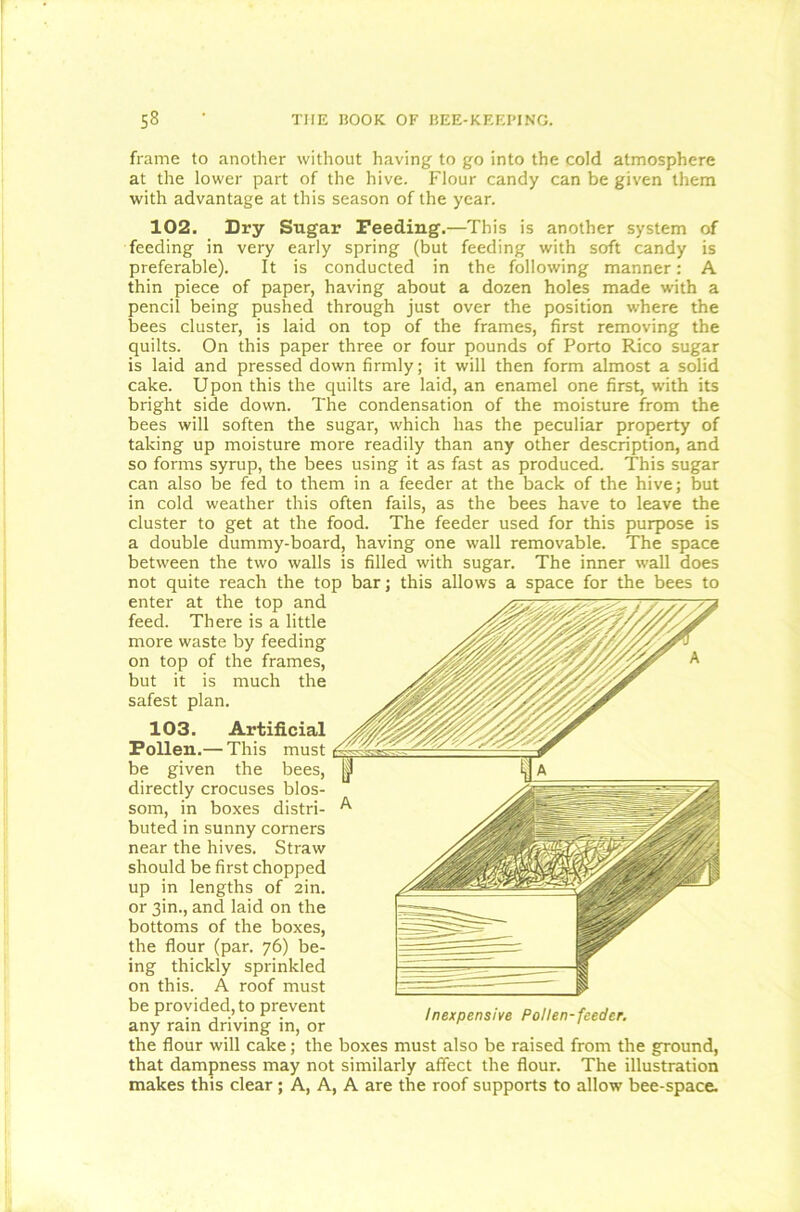 frame to another without having to go into the cold atmosphere at the lower part of the hive. Flour candy can be given them with advantage at this season of the year. 102. Dry Sugar Deeding.—This is another system of feeding in very early spring (but feeding with soft candy is preferable). It is conducted in the following manner: A thin piece of paper, having about a dozen holes made with a pencil being pushed through just over the position where the bees cluster, is laid on top of the frames, first removing the quilts. On this paper three or four pounds of Porto Rico sugar is laid and pressed down firmly; it will then form almost a solid cake. Upon this the quilts are laid, an enamel one first, with its bright side down. The condensation of the moisture from the bees will soften the sugar, which has the peculiar property of taking up moisture more readily than any other description, and so forms syrup, the bees using it as fast as produced. This sugar can also be fed to them in a feeder at the back of the hive; but in cold weather this often fails, as the bees have to leave the cluster to get at the food. The feeder used for this purpose is a double dummy-board, having one wall removable. The space between the two walls is filled with sugar. The inner wall does not quite reach the top bar; this allows a space for the bees to enter at the top and feed. There is a little more waste by feeding on top of the frames, but it is much the safest plan. 103. Artificial Pollen.— This must be given the bees, directly crocuses blos- som, in boxes distri- buted in sunny corners near the hives. Straw should be first chopped up in lengths of ain. or 3in., and laid on the bottoms of the boxes, the flour (par. 76) be- ing thickly sprinkled on this. A roof must be provided, to prevent any rain driving in, or the flour will cake; the boxes must also be raised from the ground, that dampness may not similarly affect the flour. The illustration makes this clear ; A, A, A are the roof supports to allow bee-space. Inexpensive Pollen-feeder.