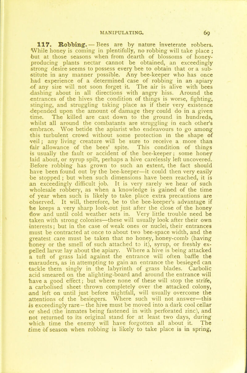 117. Robbing. — Bees are by nature inveterate robbers. While honey is coming in plentifully, no robbing will take place ; but at those seasons when from dearth of blossoms of honey- producing plants nectar cannot be obtained, an exceedingly strong desire seems to possess every bee to obtain that or a sub- stitute in any manner possible. Any bee-keeper who has once had experience of a determined case of robbing in an apiary of any size will not soon forget it. The air is alive with bees ■dashing about in all directions with angry hiss. Around the entrances of the hives the condition of things is worse, fighting, stinging, and struggling taking place as if their very existence depended upon the amount of damage they could do in a given time. The killed are cast down to the ground in hundreds, whilst all around the combatants are struggling in each other’s embrace. Woe betide the apiarist who endeavours to go among this turbulent crowd without some protection in the shape of veil; any living creature will be sure to receive a more than fair allowance of the bees’ spite. This condition of things is usually the fault or accident of the bee-keeper; some honey laid about, or syrup spilt, perhaps a hive carelessly left uncovered. Before robbing has grown to such an extent, the fact should have been found out by the bee-keeper—it could then very easily be stopped ; but when such dimensions have been reached, it is an exceedingly difficult job. It is very rarely we hear of such wholesale robbery, as when a knowledge is gained of the time of year when such is likely to take place extra precautions are observed. It will, therefore, be to the bee-keeper’s advantage if he keeps a very sharp look-out just after the close of the honey flow and until cold weather sets in. Very little trouble need be taken with strong colonies—these will usually look after their own interests; but in the case of weak ones or nuclei, their entrances must be contracted at once to about two bee-space width, and the greatest care must be taken that no honey, honey-comb (having honey or the smell of such attached to it), syrup, or freshly ex- pelled larvae lay about the apiary. Where a hive is being attacked a tuft of grass laid against the entrance will often baffle the marauders, as in attempting to gain an entrance the besieged can tackle them singly in the labyrinth of grass blades. Carbolic acid smeared on the alighting-board and around the entrance will have a good effect; but where none of these will stop the strife, a carbolised sheet thrown completely over the attacked colony, and left on until just before nightfall, will usually overcome the attentions of the besiegers. Where such will not answer—this is exceedingly rare—the hive must be moved into a dark cool cellar or shed (the inmates being fastened in with perforated zinc), and not returned to its original stand for at least two days, during which time the enemy will have forgotten all about it. The £ime of season when robbing is likely to take place is in spring,