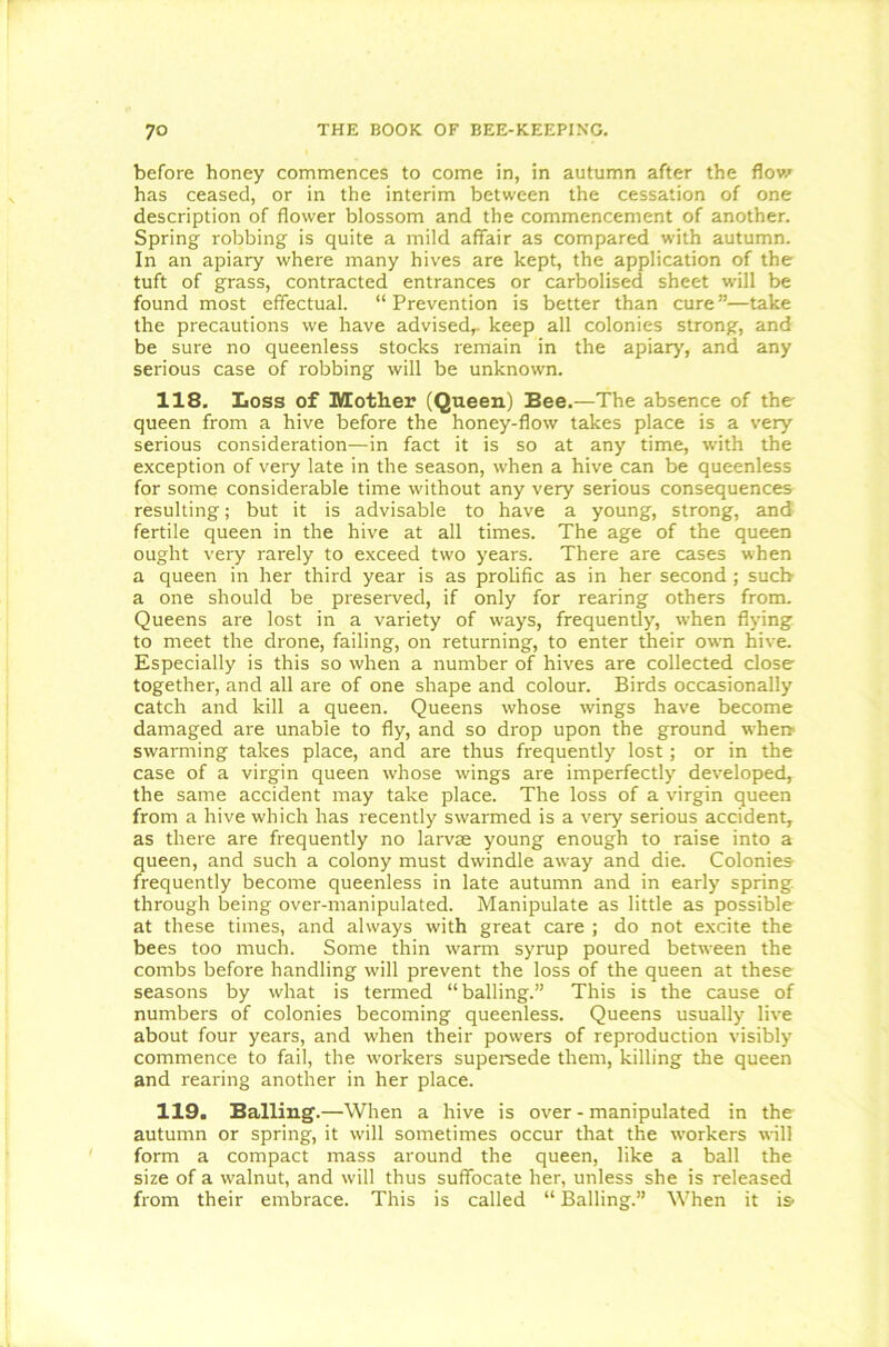 before honey commences to come in, in autumn after the flow has ceased, or in the interim between the cessation of one description of flower blossom and the commencement of another. Spring robbing is quite a mild affair as compared w'ith autumn. In an apiary where many hives are kept, the application of the tuft of grass, contracted entrances or carbolised sheet will be found most effectual. “ Prevention is better than cure ”—take the precautions we have advised,, keep all colonies strong, and be sure no queenless stocks remain in the apiary, and any serious case of robbing will be unknown. 118. Loss of Mother (Queen) Bee.—The absence of the queen from a hive before the honey-flow takes place is a very serious consideration—in fact it is so at any time, with the exception of very late in the season, when a hive can be queenless for some considerable time without any very serious consequences resulting; but it is advisable to have a young, strong, and fertile queen in the hive at all times. The age of the queen ought very rarely to exceed two years. There are cases when a queen in her third year is as prolific as in her second; such a one should be preseiwed, if only for rearing others from. Queens are lost in a variety of ways, frequently, when flying to meet the drone, failing, on returning, to enter their own hive. Especially is this so when a number of hives are collected close together, and all are of one shape and colour. Birds occasionally catch and kill a queen. Queens whose wings have become damaged are unable to fly, and so drop upon the ground when swarming takes place, and are thus frequently lost; or in the case of a virgin queen whose wings are imperfectly developed, the same accident may take place. The loss of a virgin queen from a hive which has recently swarmed is a very serious accident, as there are frequently no larvae young enough to raise into a queen, and such a colony must dwindle away and die. Colonies frequently become queenless in late autumn and in early spring through being over-manipulated. Manipulate as little as possible at these times, and always with great care ; do not excite the bees too much. Some thin warm syrup poured between the combs before handling will prevent the loss of the queen at these seasons by what is termed “ balling.” This is the cause of numbers of colonies becoming queenless. Queens usually live about four years, and when their powers of reproduction visibly commence to fail, the workers supersede them, killing the queen and rearing another in her place. 119. Balling.—When a hive is over - manipulated in the autumn or spring, it will sometimes occur that the workers will form a compact mass around the queen, like a ball the size of a walnut, and will thus suffocate her, unless she is released from their embrace. This is called “ Balling.” When it is'