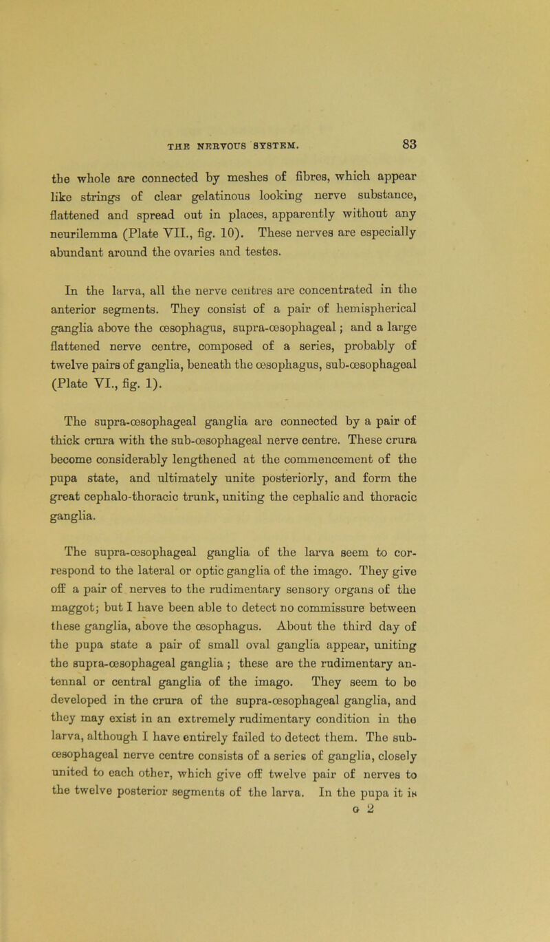 the whole are connected by meshes of fibres, which appear like strings of clear gelatinous looking nerve substance, flattened and spread out in places, apparently without any neurilemma (Plate VTI., fig. 10). These nerves are especially abundant around the ovaries and testes. In the larva, all the nerve centres are concentrated in the anterior segments. They consist of a pair of hemispherical ganglia above the oesophagus, supra-oesophageal; and a large flattened nerve centre, composed of a series, probably of twelve pairs of ganglia, beneath the oesophagus, sub-oesophageal (Plate VI., fig. 1). The supra-oesophageal ganglia are connected by a pair of thick cmra with the sub-oesophageal nerve centre. These crura become considerably lengthened at the commencement of the pupa state, and ultimately unite posteriorly, and form the great cephalo-thoracic trunk, uniting the cephalic and thoracic ganglia. The supra-oesophageal ganglia of the larva seem to cor- respond to the lateral or optic ganglia of the imago. They give off a pair of nerves to the rudimentary sensory organs of the maggot; but I have been able to detect no commissure between these ganglia, above the oesophagus. About the third day of the pupa state a pair of small oval ganglia appear, uniting the supra-oesophageal ganglia ; these are the rudimentary an- tennal or central ganglia of the imago. They seem to bo developed in the crura of the supra-oesophageal ganglia, and they may exist in an extremely rudimentary condition in the larva, although I have entirely failed to detect them. The sub- cesophageal nerve centre consists of a series of ganglia, closely united to each other, which give off twelve pair of nerves to the twelve posterior segments of the larva. In the pupa it is o 2