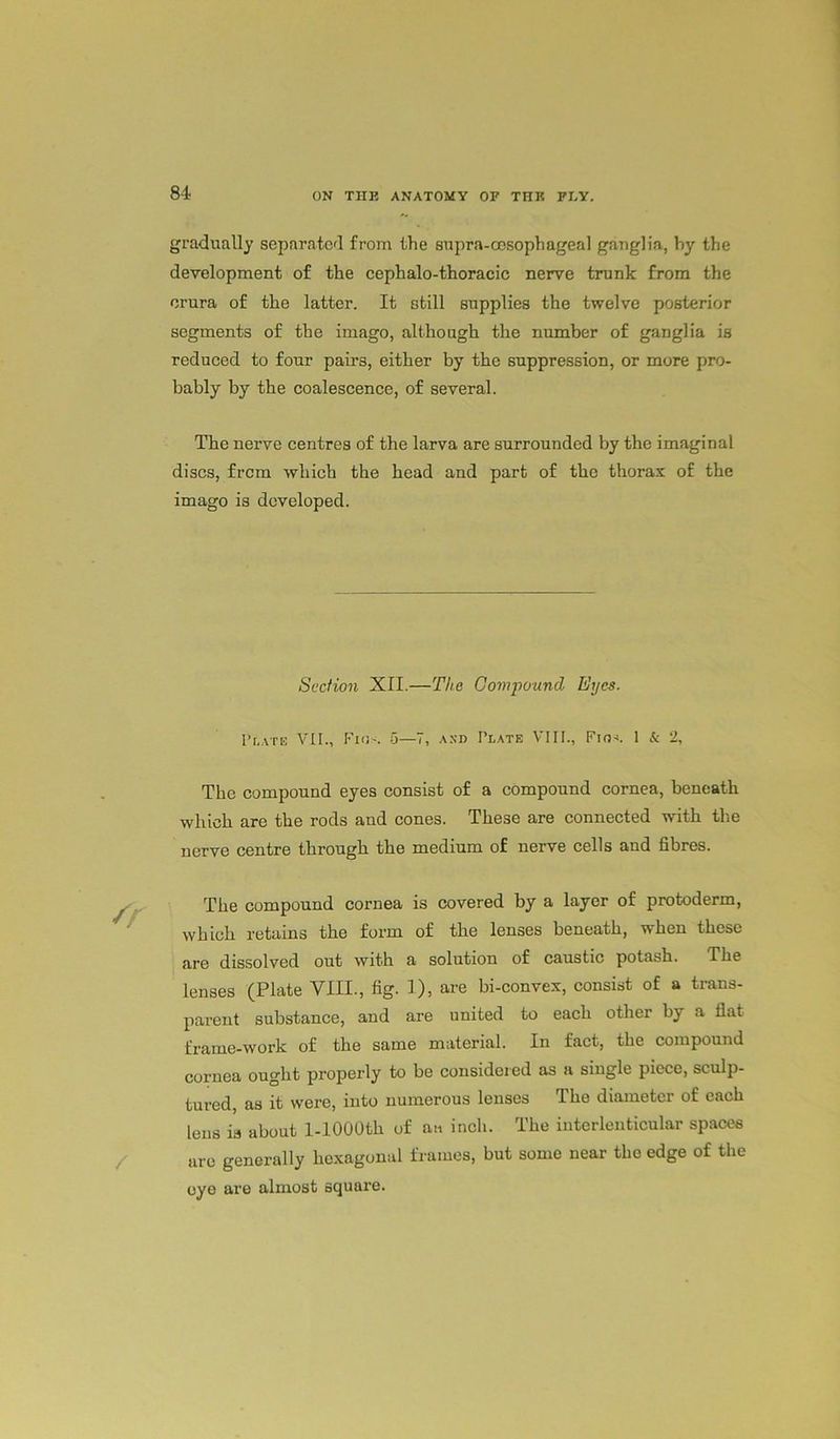 gradually separated from the supra-oesophageal ganglia, by the development of the cephalo-thoracic nerve trunk from the crura of the latter. It still supplies the twelve posterior segments of the imago, although the number of ganglia is reduced to four pahs, either by the suppression, or more pro- bably by the coalescence, of several. The nerve centres of the larva are surrounded by the imaginal discs, from which the head and part of the thorax of the imago is developed. Section XII.—The Compound Eyes. Plate VII., Fins 5—7, and Plate VIII., Fin-. 1 & 2, The compound eyes consist of a compound cornea, beneath which are the rods and cones. These are connected with the nerve centre through the medium of nerve cells and fibres. The compound cornea is covered by a layer of protoderm, which retains the form of the lenses beneath, when these are dissolved out with a solution of caustic potash. The lenses (Plate VIII., fig. 1), are bi-convex, consist of a trans- parent substance, and are united to each other by a fiat frame-work of the same material. In fact, the compound cornea ought properly to be considered as a single piece, sculp- tured, as it were, into numerous lenses The diameter of each lens is about l-1000th of an inch. The interlenticular spaces are generally hexagonal frames, but some near the edge of the eye are almost square.