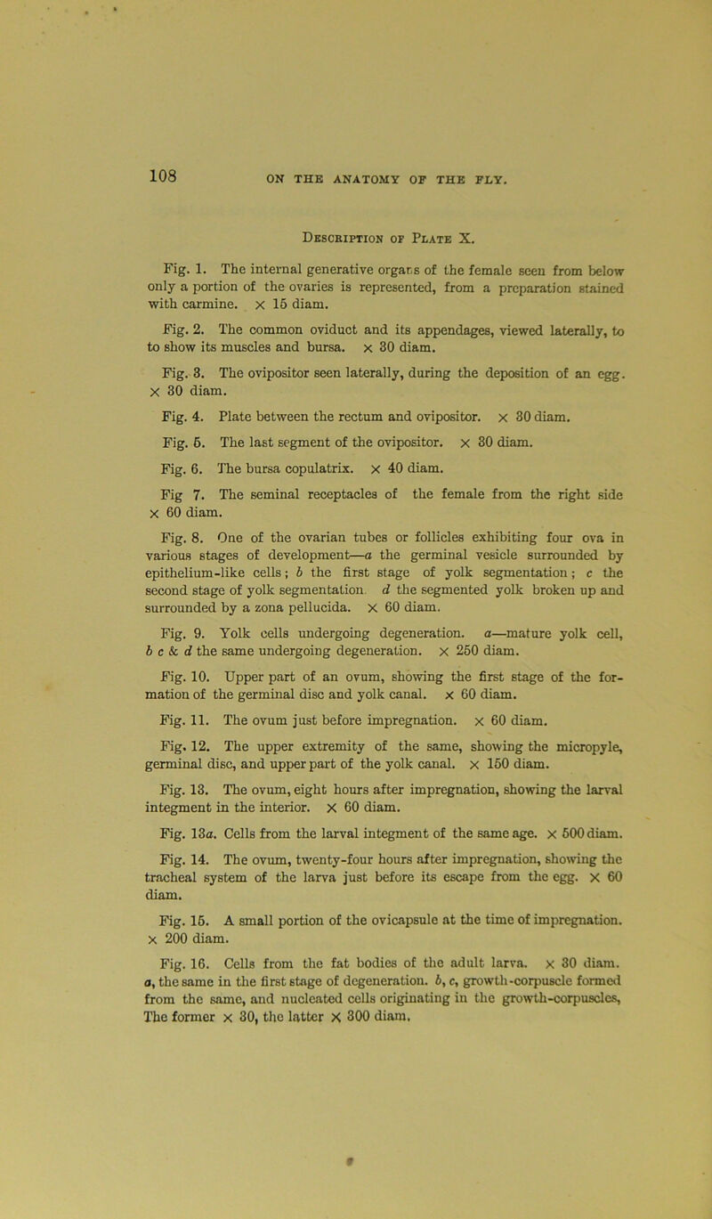 Description of Plate X. Fig. 1. The internal generative orgar.s of the female seen from below only a portion of the ovaries is represented, from a preparation stained with carmine. X 15 diam. Fig. 2. The common oviduct and its appendages, viewed laterally, to to show its muscles and bursa, x 30 diam. Fig. 3. The ovipositor seen laterally, during the deposition of an egg. X 30 diam. Fig. 4. Plate between the rectum and ovipositor, x 30 diam. Fig. 5. The last segment of the ovipositor, x 30 diam. Fig. 6. The bursa copulatrix. x 40 diam. Fig 7. The seminal receptacles of the female from the right side X 60 diam. Fig. 8. One of the ovarian tubes or follicles exhibiting four ova in various stages of development—a the germinal vesicle surrounded by epithelium-like cells; b the first stage of yolk segmentation; c the second stage of yolk segmentation d the segmented yolk broken up and surrounded by a zona pellucida. X 60 diam. Fig. 9. Yolk cells undergoing degeneration, a—mature yolk cell, b c & d the same undergoing degeneration, x 250 diam. Fig. 10. Upper part of an ovum, showing the first stage of the for- mation of the germinal disc and yolk canal, x 60 diam. Fig. 11. The ovum just before impregnation, x 60 diam. Fig. 12. The upper extremity of the same, showing the micropyle, germinal disc, and upper part of the yolk canal, x 150 diam. Fig. 13. The ovum, eight hours after impregnation, showing the larval integment in the interior. X 60 diam. Fig. 13a. Cells from the larval integment of the same age. x 500 diam. Fig. 14. The ovum, twenty-four hours after impregnation, showing the tracheal system of the larva just before its escape from the egg. x 60 diam. Fig. 15. A small portion of the ovicapsule at the time of impregnation. X 200 diam. Fig. 16. Cells from the fat bodies of the adult larva, x 30 diam. a, the same in the first stage of degeneration. 6, e, growth-corpuscle formed from the same, and nucleated cells originating in the growth-corpusclcs, The former x 30, the latter X 300 diam. *