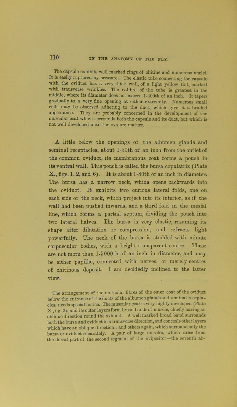 The capsule exhibits well marked rings of chitine and numerous nuclei. It is easily ruptured by pressure. The elastic tube connecting the capsule with the oviduct has a very thick wall, of a light yellow tint, marked with transverse wrinkles. The calibre of the tube is greatest in the middle, where its diameter does not exceed l-400th of an inch. It tapers gradually to a very fine opening at either extremity. Numerous small cells may be observed adhering to the duct, which give it a beaded appearance. They are probably concerned in the development of the muscular coat which surrounds both the capsule and its duct, but which is not well developed until the ova are mature. A little below the openings o£ the albumen glands and seminal receptacles, about l-30th of an inch from the outlet of the common oviduct, its membranous coat forms a pouch in its ventral wall. This pouch is called the bursa copulatrix (Plate X., figs. 1, 2, and 6). It is about l-80th of an inch in diameter. The bursa has a narrow neck, which opens backwards into the oviduct. It exhibits two curious lateral folds, one on each side of the neck, which project into its interior, as if the wall had been pushed inwards, and a third fold in the mesial line, which forms a partial septum, dividing the pouch into two lateral halves. The bursa is very elastic, resuming its shape after dilatation or compression, and refracts light powerfully. The neck of the bursa is studded with minute corpuscular bodies, with a bright transparent centre. These are not more than l-5000th of an inch in diameter, and may be either papilla3, connected with nerves, or merely centres of chitinous deposit. I am decidedly inclined to the latter view. The arrangement of the muscular fibres of the outer coat of the oviduct below the entrance of the ducts of the albumen glands and seminal recepta- cles, needs special notice. The muscular coat is very highly developed (Plate X , fig. 2), and its outer layers form broad bands of muscle, chiefly having au oblique direction round the oviduct. A well marked broad band surrounds both the bursa and ovid uct in a transverse direction, and conceals other layers which have an oblique direction ; and others again, which surround only the bursa or oviduct separately. A pair of large muscle*, which arise from the dorsal part of the second segment of the ovipositor—the seventh ab-