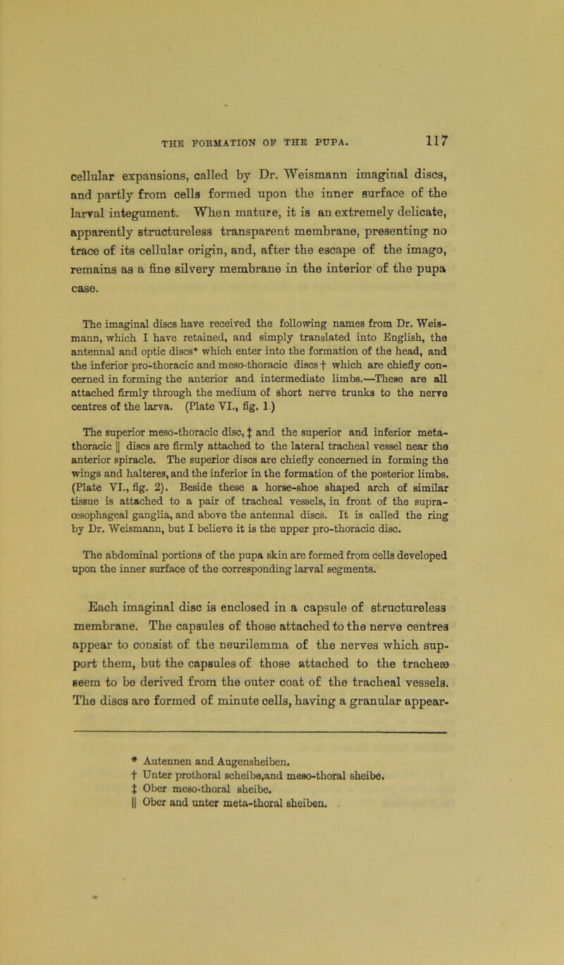 cellular expansions, called by Dr. Weismann imaginal discs, and partly from cells formed upon the inner surface of the larval integument. When mature, it is an extremely delicate, apparently structureless transparent membrane, presenting no trace of its cellular origin, and, after the escape of the imago, remains as a fine silvery membrane in the interior of the pupa case. The imaginal discs have received the following names from Dr. Weis- mann, which I have retained, and simply translated into English, the antennal and optic discs* which enter into the formation of the head, and the inferior pro-thoracic and meso-thoracic discs f which are chiefly con- cerned in forming the anterior and intermediate limbs.—These are all attached firmly through the medium of short nerve trunks to the nerve centres of the larva. (Plate VI., fig. 1) The superior meso-thoracic disc, $ and the superior and inferior meta- thoracic || discs are firmly attached to the lateral tracheal vessel near the anterior spiracle. The superior discs are chiefly concerned in forming the wings and halteres, and the inferior in the formation of the posterior limbs. (Plate VI., fig. 2). Beside these a horse-shoe shaped arch of similar tissue is attached to a pair of tracheal vessels, in front of the supra- cesophageal ganglia, and above the antennal discs. It is called the ring by Dr. Weismann, but I believe it is the upper pro-thoracic disc. The abdominal portions of the pupa skin are formed from cells developed upon the inner surface of the corresponding larval segments. Each imaginal disc is enclosed in a capsule of structureless membrane. The capsules of those attached to the nerve centres appear to consist of the neurilemma of the nerves which sup- port them, but the capsules of those attached to the tracheae seem to be derived from the outer coat of the tracheal vessels. The discs are formed of minute cells, having a granular appear- * Autennen and Augensheiben. + Unter prothoral scheibe.and meso-thoral sheibe. J Ober meso-thoral sheibe. || Ober and unter meta-thoral sheiben.