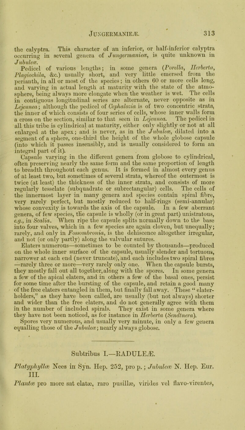 the calyptra. This character of an inferior, or half-inferior calyptra occurring in several genera of Jungermaniece, is quite unknown in J ab niece. Pedicel of various lengths; in some genera (Porella, Herberta, Plagiochila, &c.) usually short, and very little emersed from the perianth, in all or most of the species; in others 60 or more cells long, and varying in actual length at maturity with the state of the atmo- sphere, being always more elongate when the weather is wet. The cells in contiguous longitudinal series are alternate, never opposite as in Lejeunea; although the pedicel of Cephalozia is of two concentric strata, the inner of which consists of four series of cells, whose inner walls form a cross on the section, similar to that seen in Lejeunea. The pedicel in all this' tribe is cylindrical at maturity, either only slightly or not at all enlarged at the apex; and is never, as in the Jubulece, dilated into a segment of a sphere, one-third the height of the whole globose capsule (into which it passes insensibly, and is usually considered to form an integral part of it). Capsule varying in the different genera from globose to cylindrical, often preserving nearly the same form and the same proportion of length to breadth throughout each genus. It is formed in almost every genus of at least two, but sometimes of several strata, whereof the outermost is twice (at least) the thickness of the inner strata, and consists of more regularly tesselate (subquadrate or subrectangular) cells. The cells of the innermost layer in many genera and species contain spiral fibre, very rarely perfect, but mostly reduced to half-rings (semi-annular) whose convexity is towards the axis of the capsule. In a few aberrant genera, of few species, tlie capsule is wholly (or in great part) unistratous, e.g., in Scalici. When ripe the capsule splits normally down to the base into four valves, which in a few species are again cloven, but unequally; rarely, and only in Fossombronia, is the dehiscence altogether irregular, and not (or only partly) along the valvular sutures. Elaters numerous—sometimes to be counted by thousands—produced on the whole inner surface of the capsule, usually slender and tortuous, narrower at each end (never truncate), and each includes two spiral fibres —rarely three or more—very rarely only one. When the capsule bursts, they mostly fall out all together, along with the spores. In some genera a few of the apical elaters, and in others a few of the basal ones, persist for some time after the bursting of the capsule, and retain a good many of the free elaters entangled in them, but finally fall away. These “ elater- holders,” as they have been called, are usually (but not always) shorter and wider than the free elaters, and do not generally agree with them in the number of included spirals. They exist in some genera where they have not been noticed, as for instance in Herberta (Sencltnera). Spores very numerous, and usually very minute, in only a few genera equalling those of the Jubulece-, nearly always globose. Subtribus I.—RADULErE. Platyphyllce Rees in Syn. Hep. 252, pro p. ; Jubulece N. Hep. Eur. III. Plantce pro more sat elatte, raro pusillae, virides vel flavo-virentes,