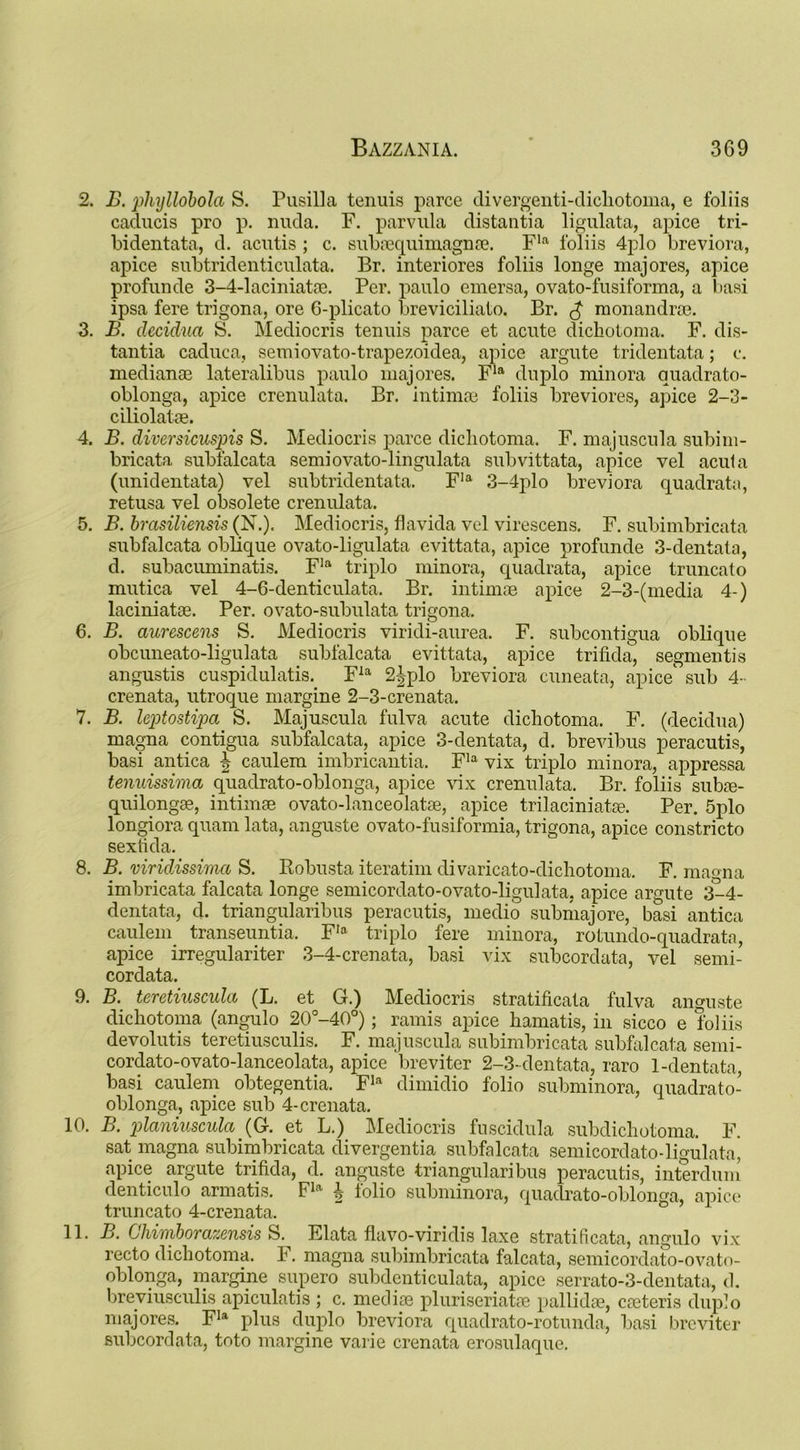 2. B. phyllobola S. Pusilla tenuis parce divergenti-clichotoma, e foliis caclucis pro p. nnda. F. parvula distantia ligulata, apice tri- bidentata, d. acutis; c. subaequimagnae. Fla foliis 4plo breviora, apice subtridenticulata. Br. interiores foliis longe majores, apice profunde 3-4-laciniatae. Per. paulo emersa, ovato-fusiforma, a basi ipsa fere trigona, ore 6-plicato breviciliato. Br. £ monandra3. 3. B. decidua S. Mediocris tenuis parce et acute dichotoma. F. dis- tantia caduca, semiovato-trapezoidea, apice argute tridentata; c. median® lateralibus paulo majores. Fla duplo minora quadrato- oblonga, apice crenulata. Br. intimae foliis breviores, apice 2-3- ciliolatae. 4. B. diversicuspis S. Mediocris parce dichotoma. F. majuscula subim- bricata subfalcata semiovato-lingulata subvittata, apice vel acuta (unidentata) vel subtridentata. Fla 3-4plo breviora quadrate, retusa vel obsolete crenulata. 5. B. brasiliensis (N.), Mediocris, flavida vel virescens. F. subimbricata subfalcata oblique ovato-ligulata evittata, apice profunde 3-dentata, d. subacuminatis. Fla triplo minora, quadrata, apice truncato mutica vel 4-6-denticulata. Br. intimae apice 2-3-(media 4-) laciniatae. Per. ovato-subulata trigona. 6. B. aurescens S. Mediocris viridi-aurea. F. suboontigua oblique obcuneato-ligulata subfalcata evittata, apice trifida, segmentis angustis cuspidulatis. F:a 2|plo breviora cuneata, apice sub 4- crenata, utroque margine 2-3-crenata. 7. B. leptostipa S. Majuscula fulva acute dichotoma. F. (decidua) magna contigua subfalcata, apice 3-dentata, d. brevibus peracutis, basi antica \ caulem imbricantia. Fla vix triplo minora, appressa tenuissima quadrato-oblonga, apice vix crenulata. Br. foliis sub®- quilong®, intimae ovato-lanceolatae, apice trilaciniatae. Per. 5plo longiora quam lata, anguste ovato-fusiformia, trigona, apice constricto sextida. 8. B. viridissima S. Robusta iteratim divaricato-dichotoma. F. maona imbricata falcata longe semicordato-ovato-ligulata, apice argute 3-4- dentata, d. triangularibus peracutis, medio submajore, basi antica caulem transeuntia. FIa triplo fere minora, rotundo-quadrata, apice irregulariter 3-4-crenata, basi vix subcordata, vel semi- cordata. 9. B. teretiuscula (L. et G.) Mediocris stratihcata fulva anguste dichotoma (angulo 20°-40°); ramis apice hamatis, in sicco e foliis devolutis teretiusculis. F. majuscula subimbricata subfalcata semi- cordato-ovato-lanceolata, apice breviter 2-3-dentata, raro 1-dentata, basi caulem obtegentia. Fla dimidio folio subminora, quadrato- oblonga, apice sub 4-crenata. 10. II planiuscula (G. et L.) Mediocris fuscidula subdichotoma. F. sat magna subimbricata divergentia subfalcata semicordato-ligulata, apice argute trifida, d. anguste triangularibus peracutis, interdum denticulo armatis. Fla -l- lolio subminora, quadrato-oblonga, apice truncato 4-crenata. 11. B. Chimborazensis S. Elata flavo-viridis laxe stratificata, angulo vix recto dichotoma. F. magna subimbricata falcata, semicordato-ovato- oblonga, margine supero subdenticulata, apice serrato-3-dentata, d. breviusculis apiculatis ; c. mediae pluriseriatse pallidae, cceteris duplo majores. Fla plus duplo breviora quadrato-rotunda, basi breviter subcordata, toto margine varie crenata erosulaque.