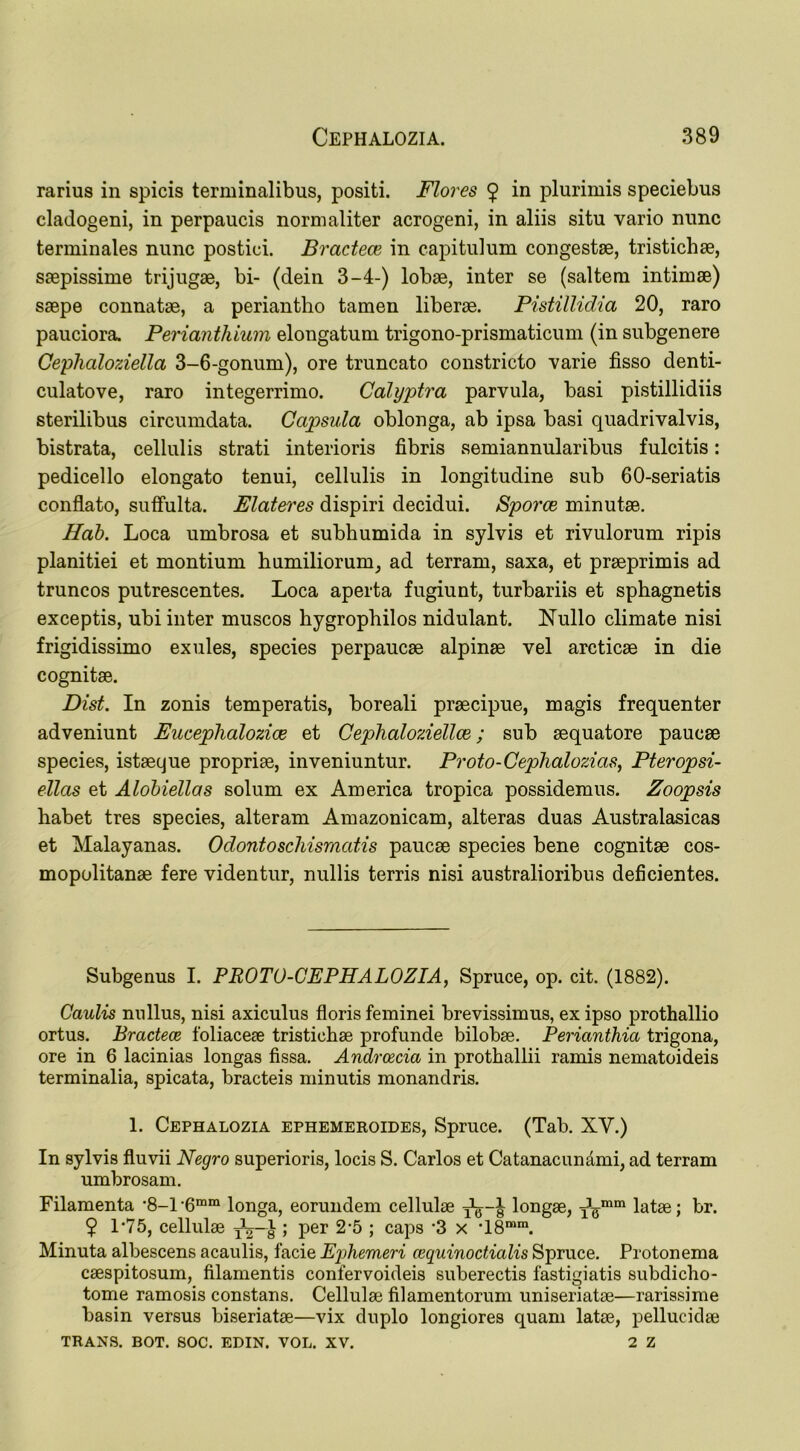 rarius in spicis terminalibus, positi. Flores $ in plurimis speciebus cladogeni, in perpaucis nornialiter acrogeni, in aliis situ vario nunc terminates nunc postici. Bractece in capitulum con gestae, tristichae, saepissime trijugae, bi- (dein 3-4-) lobae, inter se (saltern intimae) saepe connatae, a periantho tamen liberae. Pistillidia 20, raro pauciora. Perianthium elongatum trigono-prismaticum (in subgenere Cephaloziella 3-6-gonum), ore truncato constricto varie fisso denti- culatove, raro integerrimo. Calyptra parvula, basi pistillidiis sterilibus circumdata. Ccipsula oblonga, ab ipsa basi quadrivalvis, bistrata, cellulis strati interioris fibris semiannularibus fulcitis: pedicello elongato tenui, cellulis in longitudine sub 60-seriatis conflato, suffulta. Elateres dispiri decidui. Sporce minutae. Nab. Loca umbrosa et subhumida in sylvis et rivulorum ripis planitiei et montium humiliorum, ad terram, saxa, et praeprimis ad truncos putrescentes. Loca aperta fugiunt, turbariis et sphagnetis exceptis, ubi inter muscos hygrophilos nidulant. Nullo climate nisi frigidissimo exules, species perpaucae alpinae vel arcticae in die cognitae. Dist. In zonis temperatis, boreali praecipue, magis frequenter adveniunt Euceplialozice et Ceplialoziellce; sub aequatore paucae species, istaeque propriae, inveniuntur. Proto-Cephalozias, Pteropsi- ellcis et Alobiellas solum ex America tropica possidemus. Zoopsis habet tres species, alteram Amazonicam, alteras duas Australasicas et Malayanas. Odontoschismcitis paucae species bene cognitae cos- mopolitanae fere videntur, nullis terris nisi australioribus deficientes. Subgenus I. PROTO-CEPHALOZIA, Spruce, op. cit. (1882). Caulis nnllus, nisi axiculus floris feminei brevissimus, ex ipso prothallio ortus. Bractece foliaceae tristichae profunde bilobae. Perianthia trigona, ore in 6 lacinias longas fissa. Andrcecia in prothallii ramis nematoideis terminalia, spicata, bracteis minutis monandris. 1. Cephalozia ephemeroides, Spruce. (Tab. XV.) In sylvis fluvii Negro superioris, locis S. Carlos et Catanacunami, ad terram umbrosam. Filamenta -8-1-6mm longa, eorundem cellulae longae, latae; br. ? 1*75, cellulae T\—} ; per 2-5 ; caps -3 x T8mm. Minuta albescens acaulis, facie Ephemeri cequinoctialis Spruce. Protonema caespitosum, filamentis confervoideis suberectis fastigiatis subdicho- tome ramosis constans. Cellulae filamentorum uniseriatae—rarissime basin versus biseriatae—vix duplo longiores quam latae, pellucidae TRANS. BOT. SOC. EDIN. VOL. XV. 2 Z