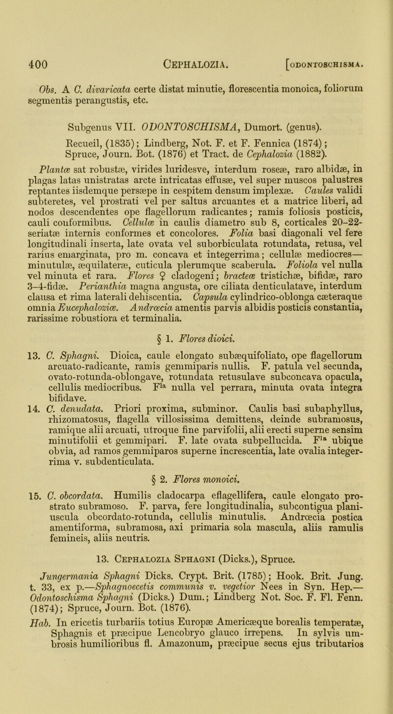 Obs. A C. divaricata certe (listat minutie, florescentia monoica, foliorum segmentis perangustis, etc. Subgenus VII. ODONTOSCHISMA, Dumort. (genus). Recueil, (1835); Lindberg, Not. F. et F. Fennica (1874); Spruce, Journ. Bot. (1876) et Tract, de Cephalozia (1882). Plantce sat robustae, virides luridesve, interdum roseae, raro albidae, in plagas latas unistratas arete intricatas effusae, vel super muscos palustres reptantes iisdemque persaepe in cespitem densum implexae. Caules validi subteretes, vel prostrati vel per saltus arcuantes et a matrice liberi, ad nodos descendentes ope flagellorum radicantes; ramis foliosis posticis, cauli couformibus. Cellulce in caulis diametro sub 8, corticales 20-22- seriatae internis conformes et concolores. Folia basi diagonali vel fere longitudinali inserta, late ovata vel suborbiculata rotundata, retusa, vel rarius emarginata, pro m. concava et integerrima; cellulae mediocres— minutulae, aequilaterae, cuticula plerumque scaberula. Foliola vel nulla vel minuta et rara. Flores $ cladogeni; bradece tristichae, bifidae, raro 3-4-fidae. Periantliia magna angusta, ore ciliata denticulatave, interdum clausa et rima laterali dehiscentia. Capsula cylindrico-oblonga cceteraque omnia Fucephalozice. Andrcecia amentis parvis albidis posticis constantia, rarissime robustiora et terminalia. § 1. Flores dioici. 13. C. Sphagni. Dioica, caule elongato subaequifoliato. ope flagellorum arcuato-radicante, ramis gemmiparis nullis. F. patula vel secunda, ovato-rotunda-oblongave, rotundata retusulave subconcava opacula, cellulis mediocribus. Fla nulla vel perrara, minuta ovata integra bifklave. 14. C. denudata. Priori proxima, subminor. Caulis basi subaphyllus, rhizomatosus, flagella villosissima demittens, deinde subramosus, ramique alii arcuati, utroque fine parvifolii, alii erecti superne sensim minutifolii et gemmipari. F. late ovata subpellucida. Fla ubique obvia, ad ramos gemmiparos superne increscentia, late ovalia integer- rima v. subdenticulata. § 2. Flores monoid. 15. C. obcordata. Humilis cladocarpa eflagellifera, caule elongato pro- strato subramoso. F. parva, fere longitudinalia, subcontigua plani- uscula obcordato-rotunda, cellulis minutulis. Androecia postica amentiforma, subramosa, axi primaria sola mascula, aliis ramulis femineis, aliis neutris. 13. Cephalozia Sphagni (Dicks.), Spruce. Jungermania Sphagni Dicks. Crypt. Brit. (1785); Hook. Brit. Jung, t. 33, ex p.—Sphagnoecetis communis v. vegetior Nees in Syn. Hep.— Odontoschisma Sphagni (Dicks.) Dum.; Lindberg Not. Soc. F. FI. Fenn. (1874); Spruce, Journ. Bot. (1876). Hob. In ericetis turbariis totius Europae Americaeque borealis temperatae, Sphagnis et praecipue Lencobryo glauco irrepens. In sylvis um- brosis humilioribus fl. Amazonum, praecipue secus ejus tributaries