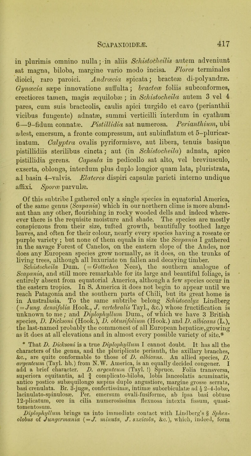 in plurimis omnino nulla; in aliis Schistocheilis autem adveniunt sat magna, biloba, margine vario modo incisa. Flores terminales dioici, raro paroici. Androecia spicata; bractem di-polyandrte. Gyncecia saepe innovatione suffulta; bractecB foliis subconformes, erectiores tamen, magis aequilobae ; in Schistocheila autem 3 vel 4 pares, cum suis bracteolis, caulis apici turgido et cavo (periantbii vicibus fungente) adnatae, summi verticilli interdum in cyatbum 6—9-fidum connatse. Pistillidia sat numerosa. Perianthium, ubi adest, emersum, a fronte compressum, aut subinflatum et 5-pluricar- inatum. Calyptra ovalis pyriformisve, aut libera, tenuis basique pistillidiis sterilibus cincta; aut (in Schistocheila) adnata, apice pistillidia gerens. Ccipsula in pedicello sat alto, vel breviusculo, exserta, oblonga, interdum plus duple longior quam lata, pluristrata, ad basin 4-valvis. Elateres dispiri capsulse parieti interno undique affix! Sporce parvulse. Of this subtribe I gathered only a single species in equatorial America, of the same genus (Scapania) which in our northern clime is more abund- ant than any other, flourishing in rocky wooded dells and indeed where- ever there is the requisite moisture and shade. The species are mostly conspicuous from their size, tufted growth, beautifully toothed large leaves, and often for their colour, nearly every species having a roseate or purple variety ; but none of them equals in size the Scapania I gathered in the savage Forest of Canelos, on the eastern slope of the Andes, nor does any European species grow normally, as it does, on the trunks of living trees, although all luxuriate on fallen and decaying timber. Schistocheila Dum. ( = Gottschea Nees), the southern analogue of Scapania, and still more remarkable for its large and beautiful foliage, is entirely absent from equatorial America, although a few species occur in the eastern tropics. In S. America it does not begin to appear until we reach Patagonia and the southern parts of Chili, but its great home is in Australasia. To the same subtribe belong Schistocalyx Lindberg (= Jung. densifolici Hook., J. vertebralis Tayl., &c.) whose fructification is unknown to me; and Diplophyllum Dum., of which we have 3 British species, D. Diclcsoni (Hook.), 1). obtusifolium (Hook.) and D. albicans (L.), the last-named probably the commonest of all European hepaticae,growing as it does at all elevations and in almost every possible variety of site.* * That D. Diclcsoni is a true Diplophyllum I cannot doubt. It has all the characters of the genus, and the pluriplicate perianth, the axillary branches, &c., are quite conformable to those of D. albicans. An allied species, D. argenteum (Tayl. lib.) from N.W. America, is an equally decided congener. I add a brief character. D. argenteum (Tayl. !) Spruce. Folia transversa, superiora equitantia, ad f complicato-biloba, lobis lanceolatis acuminatis, antico postico subeequilongo ssepius duplo angustiore, margine grosse serrata, basi crenulata. Br. 3-jugai, confertissimse, intimse suborbiculatse ad ^ 2-4-lobse, lacinulato-spinulosse. Per. emersum ovali-fusiforme, ab ipsa basi obtuse 12-plicatum, ore in cilia numerosissima flexuosa intexta fissum, quasi- tomentosum. Diplophyllum brings us into immediate contact with Lind berg’s § Splien- olobus of Jungcrmania ( = /. minuta, J. sxxicola, &c.), which, indeed, form