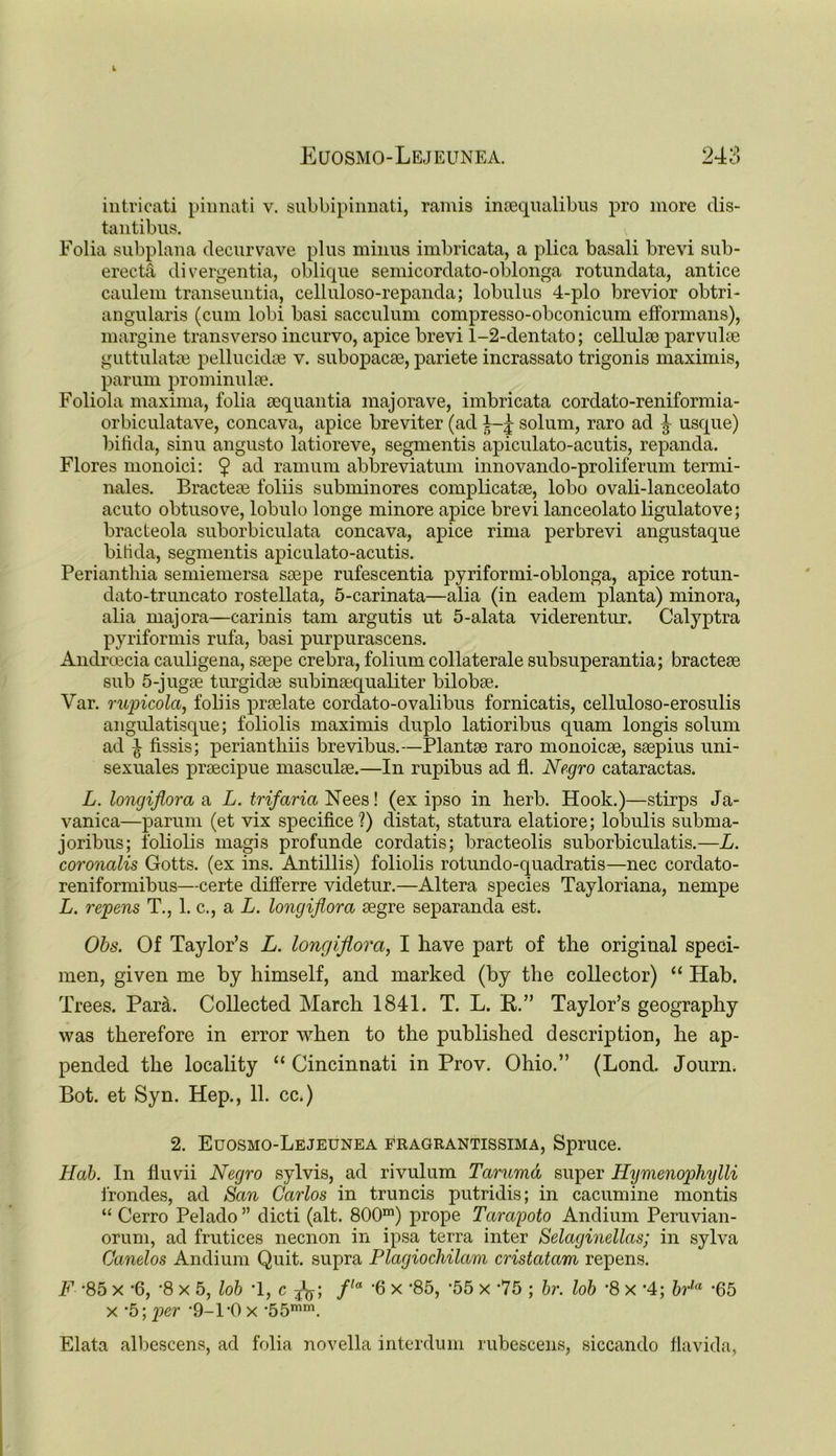 intricati pinnati v. subbipinnati, ramis insequalibus pro more dis- tantibus. Folia subplana decurvave plus minus imbricata, a plica basali brevi sub- erectet divergentia, oblique semicordato-oblonga rotundata, antice caulem transeuntia, celluloso-repanda; lobulus 4-plo brevior obtri- angularis (cum lobi basi sacculum compresso-obconicum efformans), margine transverso incurvo, apice brevi 1-2-dentato; cellule parvulse guttulatse pellucidse v. subopacse, pariete incrassato trigonis maximis, parum prominulse. Foliola maxima, folia sequantia majorave, imbricata cordato-reniformia- orbiculatave, concava, apice breviter (ad solum, raro ad 4 usque) bifida, sinu angusto latioreve, segmentis apiculato-acutis, repanda. Flores monoici: $ ad ramum abbreviatum innovando-proliferum termi- nales. Bracteae foliis subminores complicate, lobo ovali-lanceolato acuto obtusove, lobulo longe minore apice brevi lanceolato ligulatove; bracteola suborbiculata concava, apice rima perbrevi angustaque bifida, segmentis apiculato-acutis. Perianthia semiemersa saepe rufescentia pyriformi-oblonga, apice rotun- dato-truncato rostellata, 5-carinata—alia (in eadem planta) minora, alia majora—carinis tarn argutis ut 5-alata viderentur. Calyptra pyriformis rufa, basi purpurascens. Andrcecia cauligena, saepe crebra, folium collaterale subsuperantia; bracteae sub 5-jugae turgidae subinaequaliter bilobae. Var. rupicola, foliis praelate cordato-ovalibus fornicatis, celluloso-erosulis angulatisque; foliolis maximis duplo latioribus quam longis solum ad ^ fissis; perianthiis brevibus.—Plantae raro monoicae, saepius uni- sexuales praecipue masculae.—In rupibus ad fl. Negro cataractas. L. longijlora a L. trifaria Nees! (ex ipso in herb. Hook.)—stirps Ja- vanica—parum (et vix specifice?) distat, statura elatiore; lobulis subma- joribus; foliolis magis profunde cordatis; bracteolis suborbiculatis.—L. coronalis Gotts. (ex ins. Antillis) foliolis rotundo-quadratis—nec cordato- reniformibus—certe differre videtur.—Altera species Tayloriana, nempe L. repens T., 1. c., a L. longijlora segre separanda est. Obs. Of Taylor’s L. longijlora, I have part of the original speci- men, given me by himself, and marked (by the collector) “ Hab. Trees. ParA Collected March 1841. T. L. R.” Taylor’s geography was therefore in error when to the published description, he ap- pended the locality “ Cincinnati in Prov. Ohio.” (Lond. Journ. Bot. et Syn. Hep., 11. cc.) 2. Euosmo-Lejeunea fragrantissima, Spruce. Hab. In liuvii Negro sylvis, ad rivulum Tarumd super Hymenophylli frondes, ad San Carlos in truncis putridis; in cacumine montis “ Cerro Pelado ” dicti (alt. 800m) prope Tarapoto Andium Peruvian- orum, ad frutices necnon in ipsa terra inter Selaginellas; in sylva Canelos Andium Quit, supra Plagiochilam cristatam repens. F -85 x -6, '8 x 5, lob *1, c ^; f,a ’6 x ‘85, '55 x -75 ; br. lob *8 x '4; brla -65 x ‘5; per ’9-1-0 x -55min. Elata albescens, ad folia novella interdum rubescens, siccando flavida,