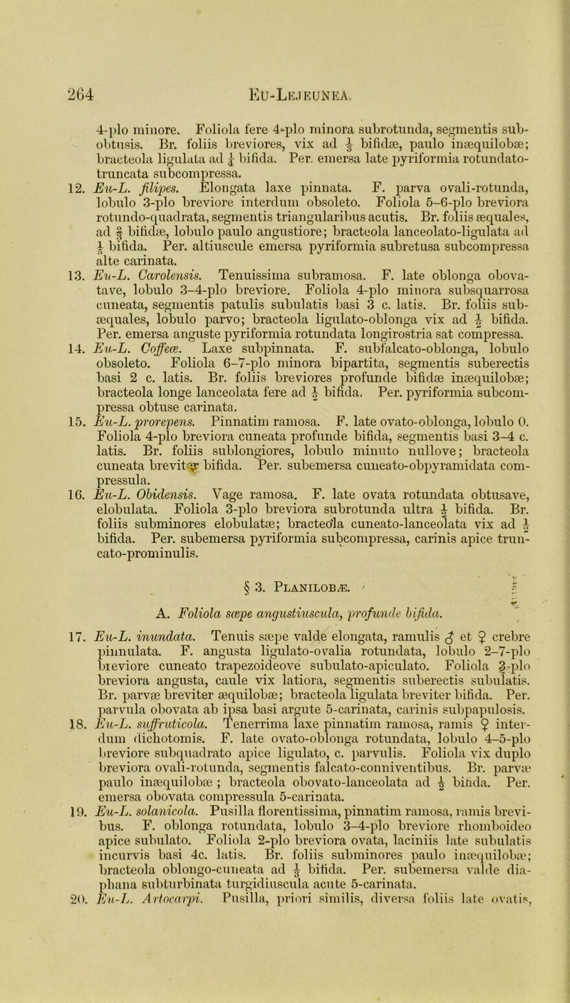 4-plo minore. Foliola fere 4-plo minora subrotunda, segmentis sub- obtusis. Br. foliis breviores, vix ad £ bifidse, paulo insequilobse; bracteola ligulata ad | bifida. Per. emersa late pyriformia rotundato- truncata subcompressa. 12. Eu-L. filipes. Elongata laxe pinnata. F. parva ovali-rotunda, lobulo 3-plo breviore interdum obsolete. Foliola 5-6-plo breviora rotundo-quadrata, segmentis triangularibus acutis. Br. foliis eequales, ad § bifidse, lobulo paulo angustiore; bracteola lanceolato-ligulata ad } bifida. Per. altiuscule emersa pyriformia subretusa subcompressa alte carinata. 13. Ev-L. Carolensis. Tenuissima subramosa. F. late oblonga obova- tave, lobulo 3-4-plo breviore. Foliola 4-plo minora subsquarrosa cuneata, segmentis patulis subulatis basi 3 c. latis. Br. foliis sub- sequales, lobulo parvo; bracteola ligulato-oblonga vix ad \ bifida. Per. emersa anguste pyriformia rotundata longirostria sat compressa. 14. Eu-L. Coffece. Laxe subpinnata. F. subfalcato-oblonga, lobulo obsolete. Foliola 6-7-plo minora bipartita, segmentis suberectis basi 2 c. latis. Br. foliis breviores profunde bifidse insequilobse; bracteola longe lanceolata fere ad ^ bifida. Per. pyriformia subcom- pressa obtuse carinata. 15. Eu-L. prorepens. Pinnatim ramosa. F. late ovato-oblonga, lobulo 0. Foliola 4-plo breviora cuneata profunde bifida, segmentis basi 3-4 c. latis. Br. foliis sublongiores, lobulo minuto nullove; bracteola cuneata brevity bifida. Per. subemersa cuneato-obpyramidata com- pressula. 16. Eu-L. Obiclensis. Vage ramosa. F. late ovata rotundata obtusave, elobulata. Foliola 3-plo breviora subrotunda ultra 4 bifida. Br. foliis subminores elobulatse; bracteola cuneato-lanceolata vix ad 4 bifida. Per. subemersa pyriformia subcompressa, carinis apice trun- cato-prominulis. § 3. PLANILOBiE. -5 A. Foliola scepe anyustiuscula, profunde bifida. 17. Eu-L. inundata. Tenuis ssepe valde elongata, ramulis £ et $ crebre pinnulata. F. angusta ligulato-ovalia rotundata, lobulo 2-7-plo breviore cuneato trapezoideove subulato-apiculato. Foliola 3-plo breviora angusta, caule vix latiora, segmentis suberectis subulatis. Br. parvse breviter sequilobse; bracteola ligulata breviter bifida. Per. parvula obovata ab ipsa basi argute 5-carinata, carinis subpapulosis. 18. Eu-L. suffruticola. Tenerrima laxe pinnatim ramosa, ramis $ inter- dum dichotomis. F. late ovato-oblonga rotundata, lobulo 4-5-plo breviore subquadrato apice ligulato, c. parvulis. Foliola vix duplo breviora ovali-rotunda, segmentis falcato-conniventibus. Br. parva? paulo insequilobse ; bracteola obovato-lanceolata ad ^ bifida. Per. emersa obovata compressula 5-carinata. 19. Eu-L. solanicola. Pusilla florentissima, pinnatim ramosa, ramis brevi- bus. F. oblonga rotundata, lobulo 3-4-plo breviore rhomboideo apice subulate. Foliola 2-plo breviora ovata, laciniis late subulatis incurvis basi 4c. latis. Br. foliis subminores paulo insequilobse; bracteola oblongo-cuneata ad bifida. Per. subemersa valde dia- phana subturbinata turgidiuscula acute 5-carinata. 20. Eu-L. Artocarpi. Pusilla, priori similis, diversa foliis late ovatis,